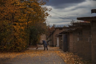 A gardener using a leaf blower to clear fallen leaves from a stone pathway.