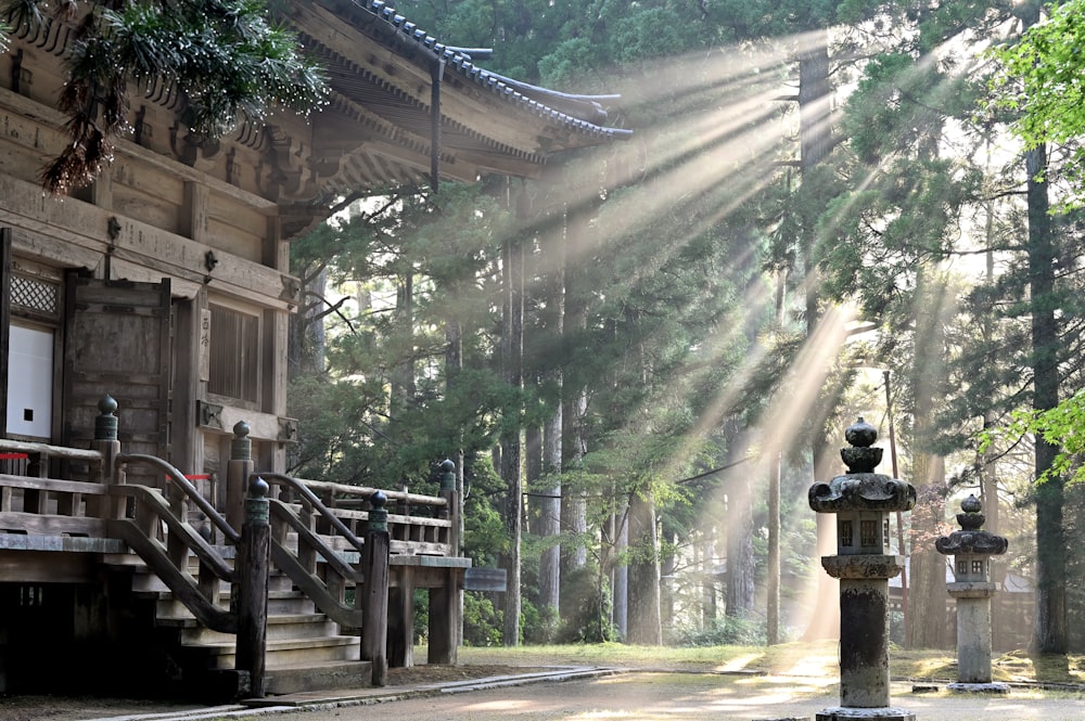 the sun is shining through the trees in the park