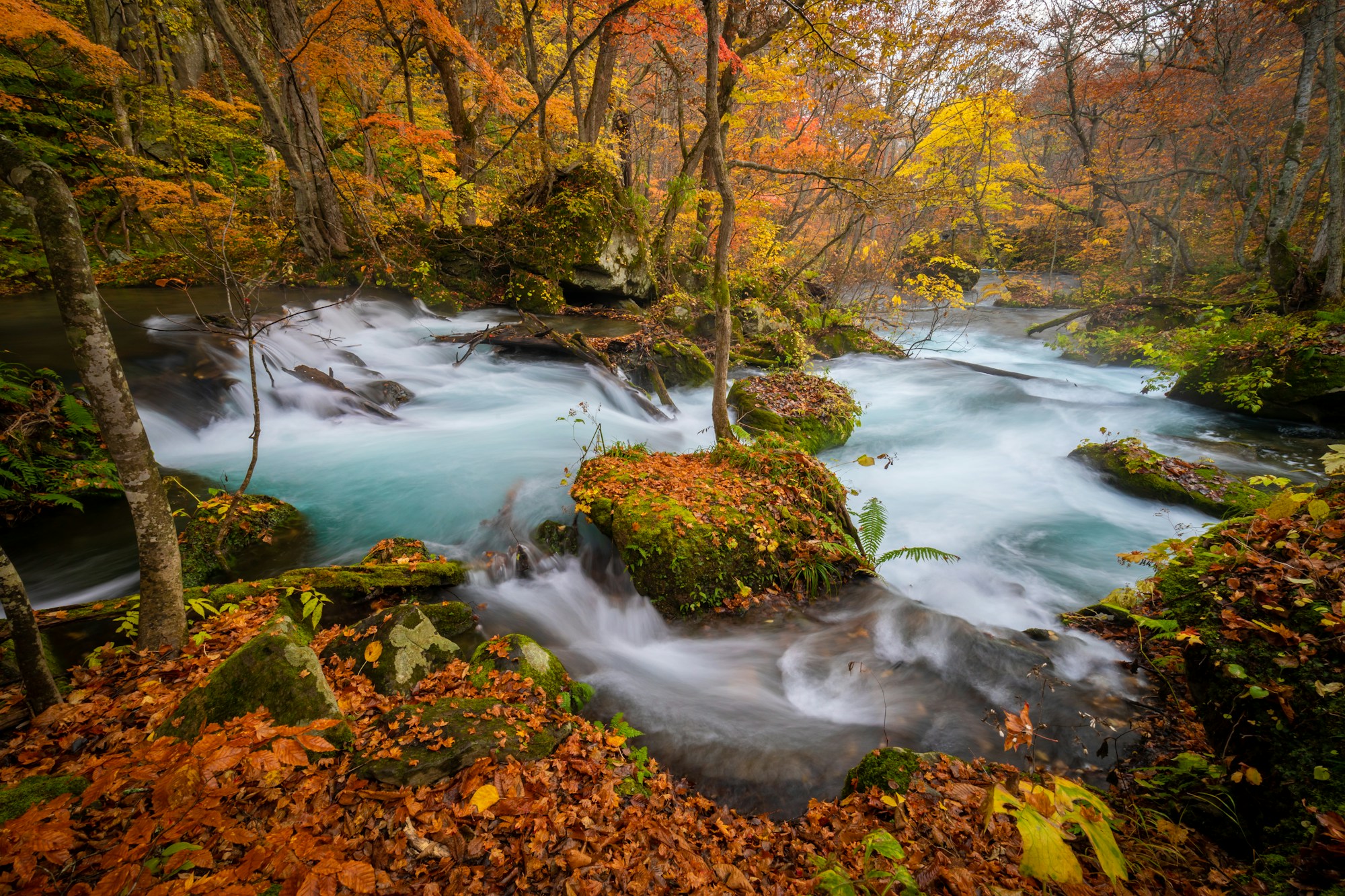 Optimal Seasons to Visit Oirase: Weather Guide