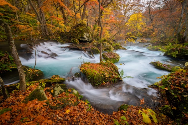 Optimal Seasons to Visit Oirase: Weather Guide