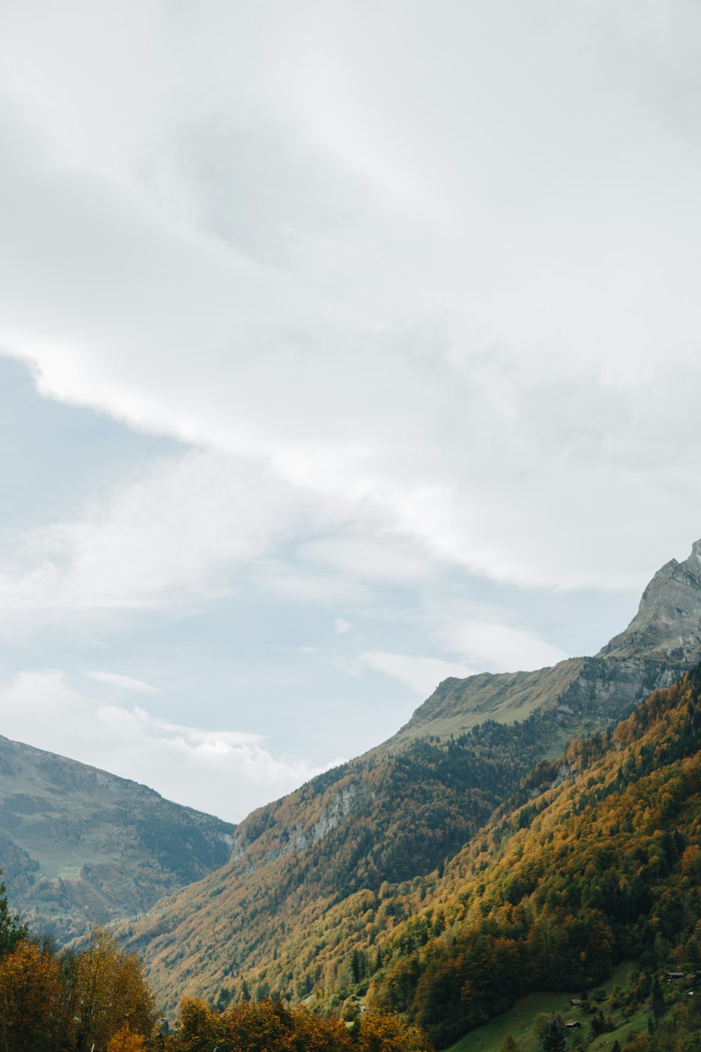 a scenic view of a mountain range with trees in the foreground