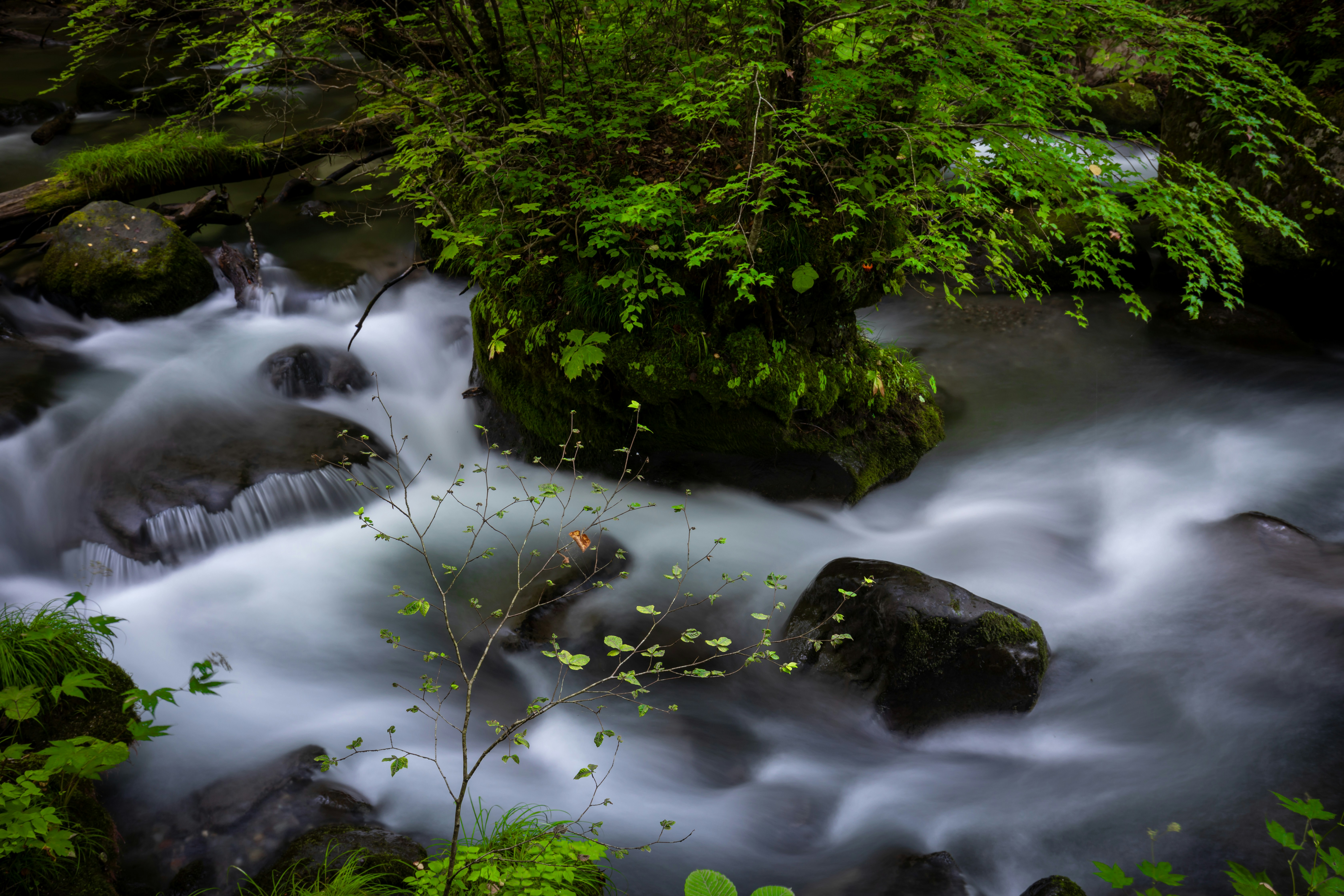 Photo by juntarou555