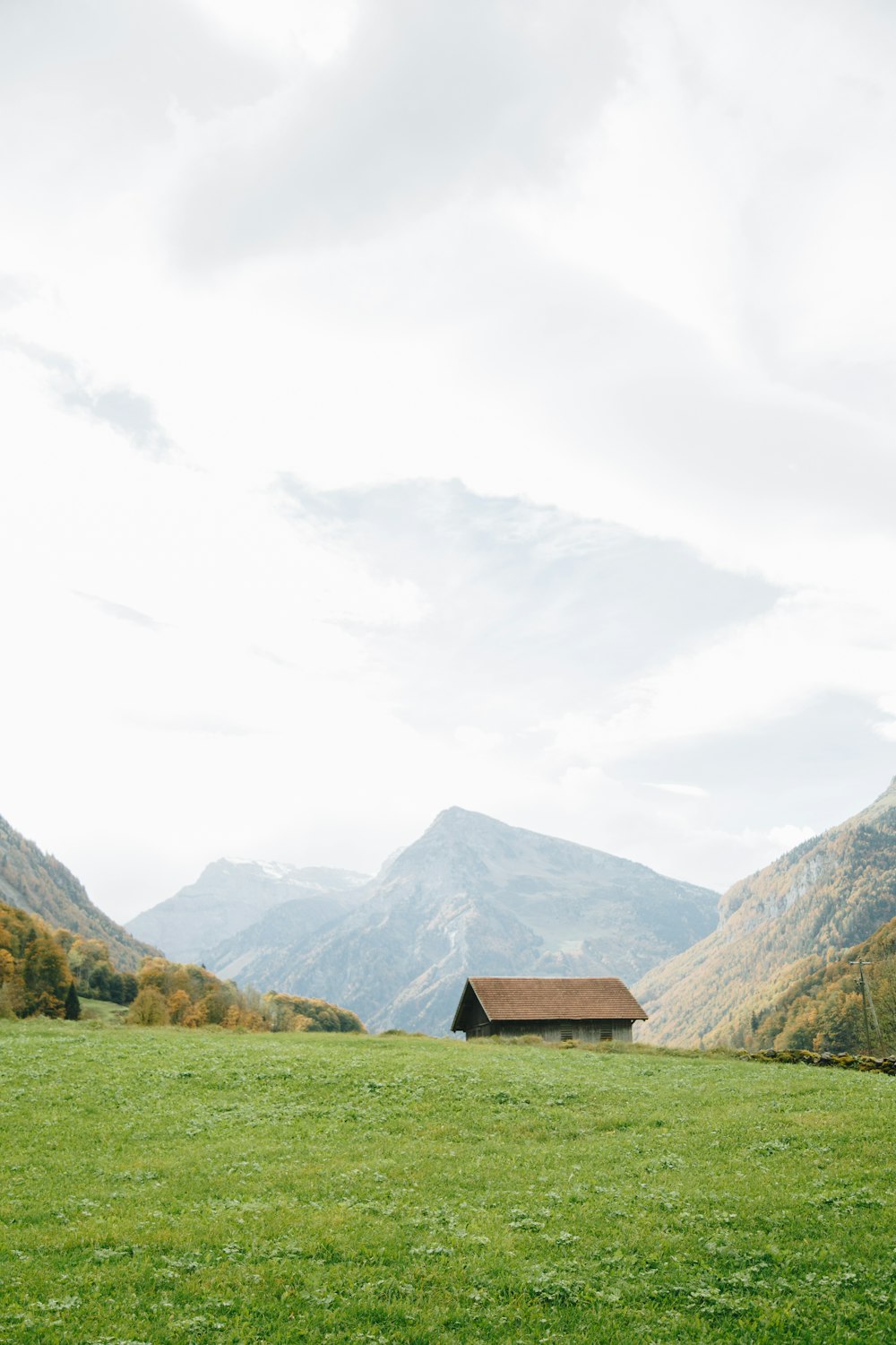 a green field with a house in the background