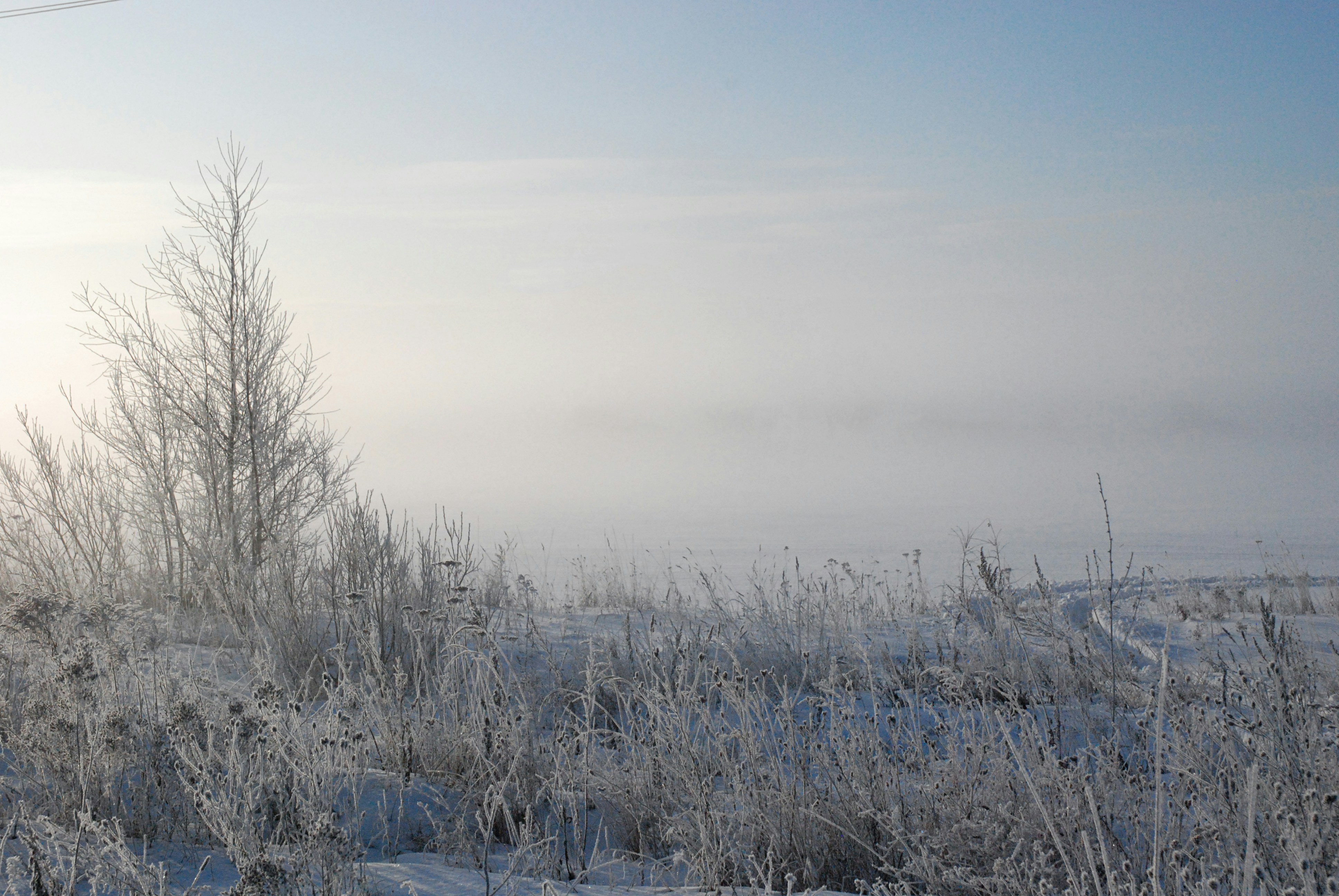 Photo by kovalskihelga