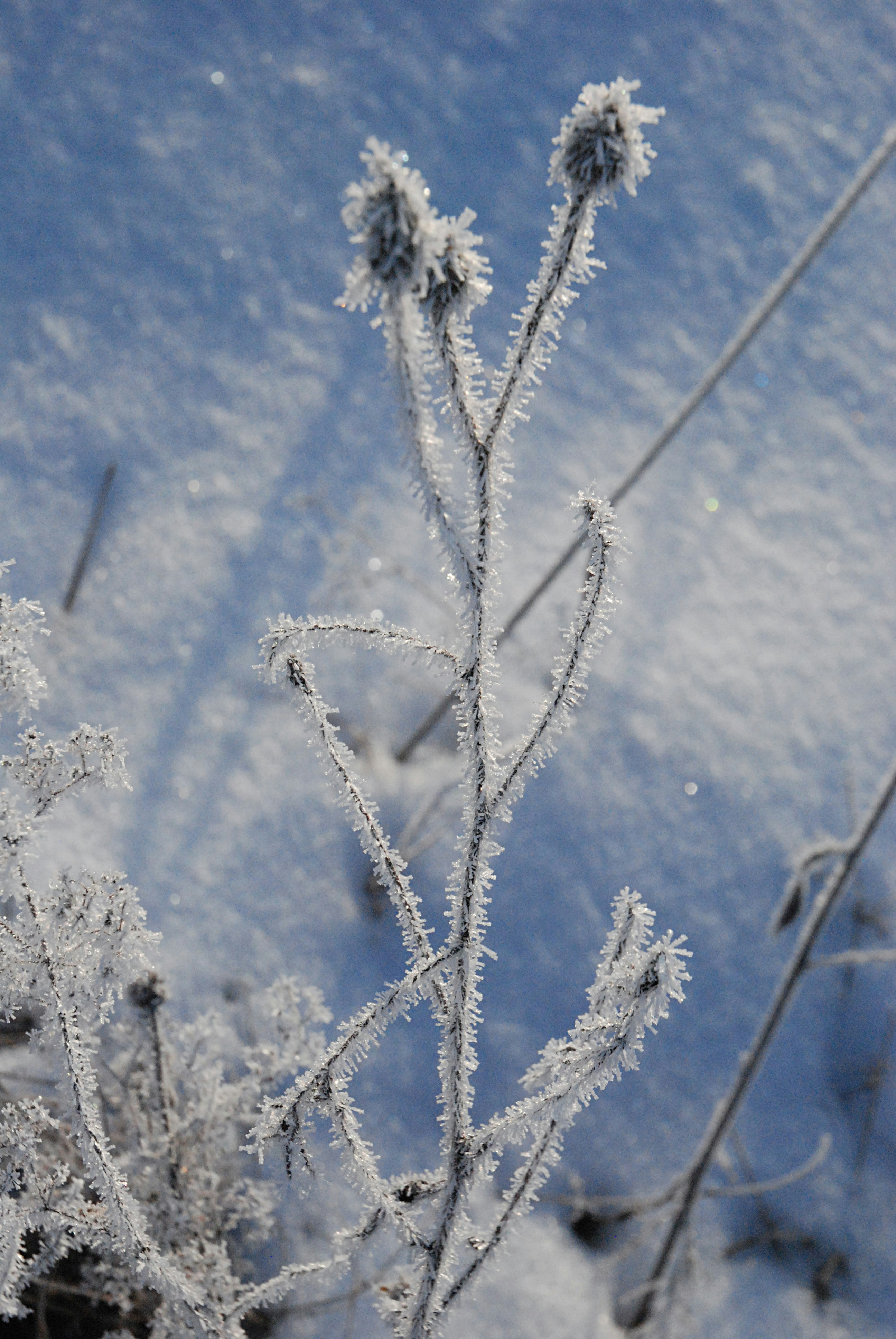 Photo by kovalskihelga