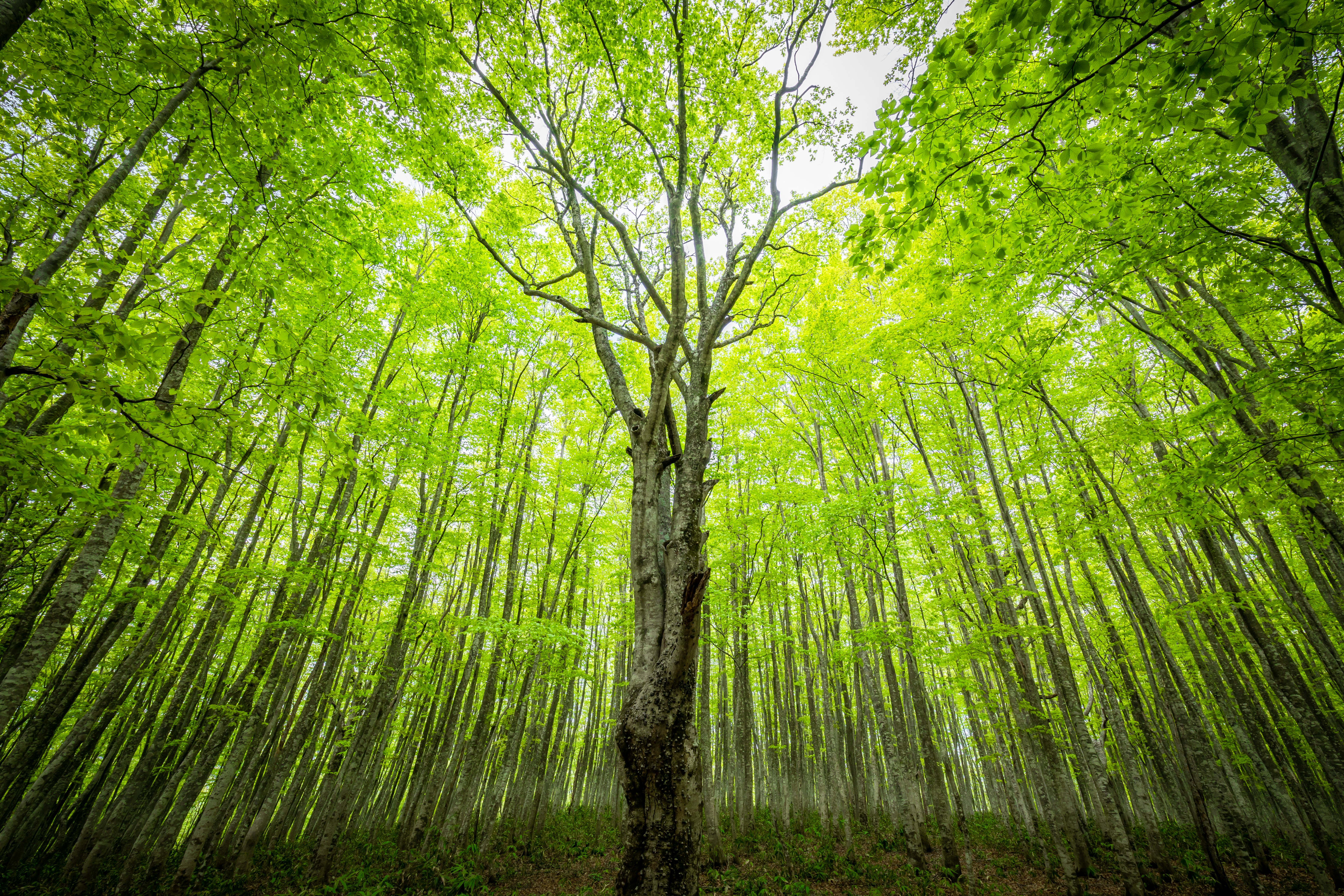 Photo by juntarou555