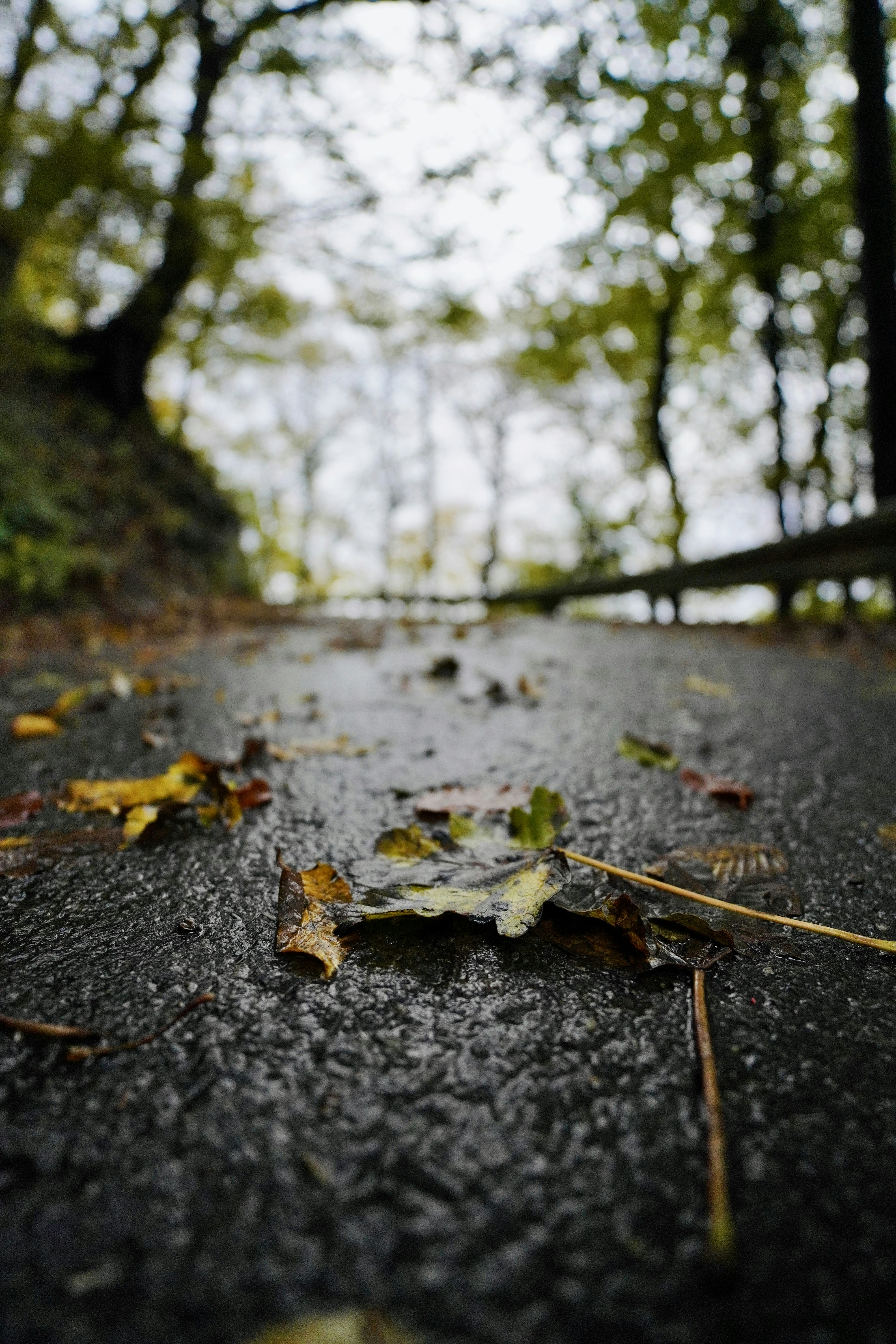 Photo by strubel