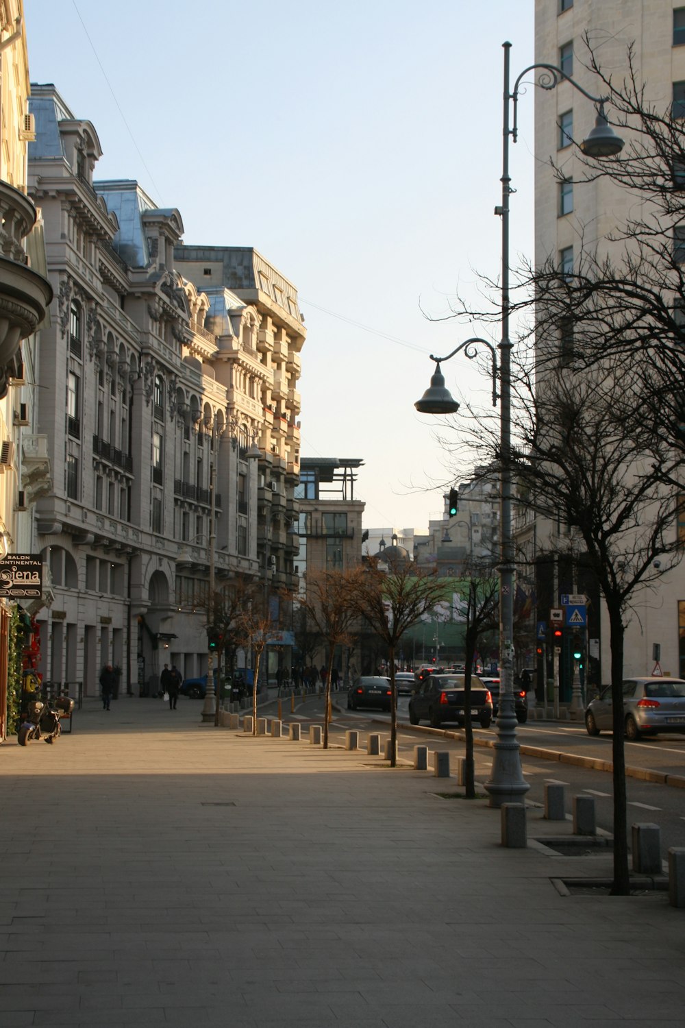 a city street lined with tall buildings and trees