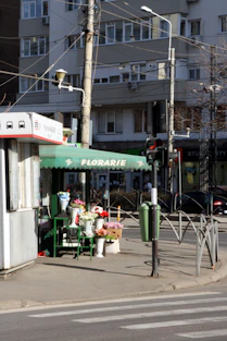 a street corner with a flower shop on the corner