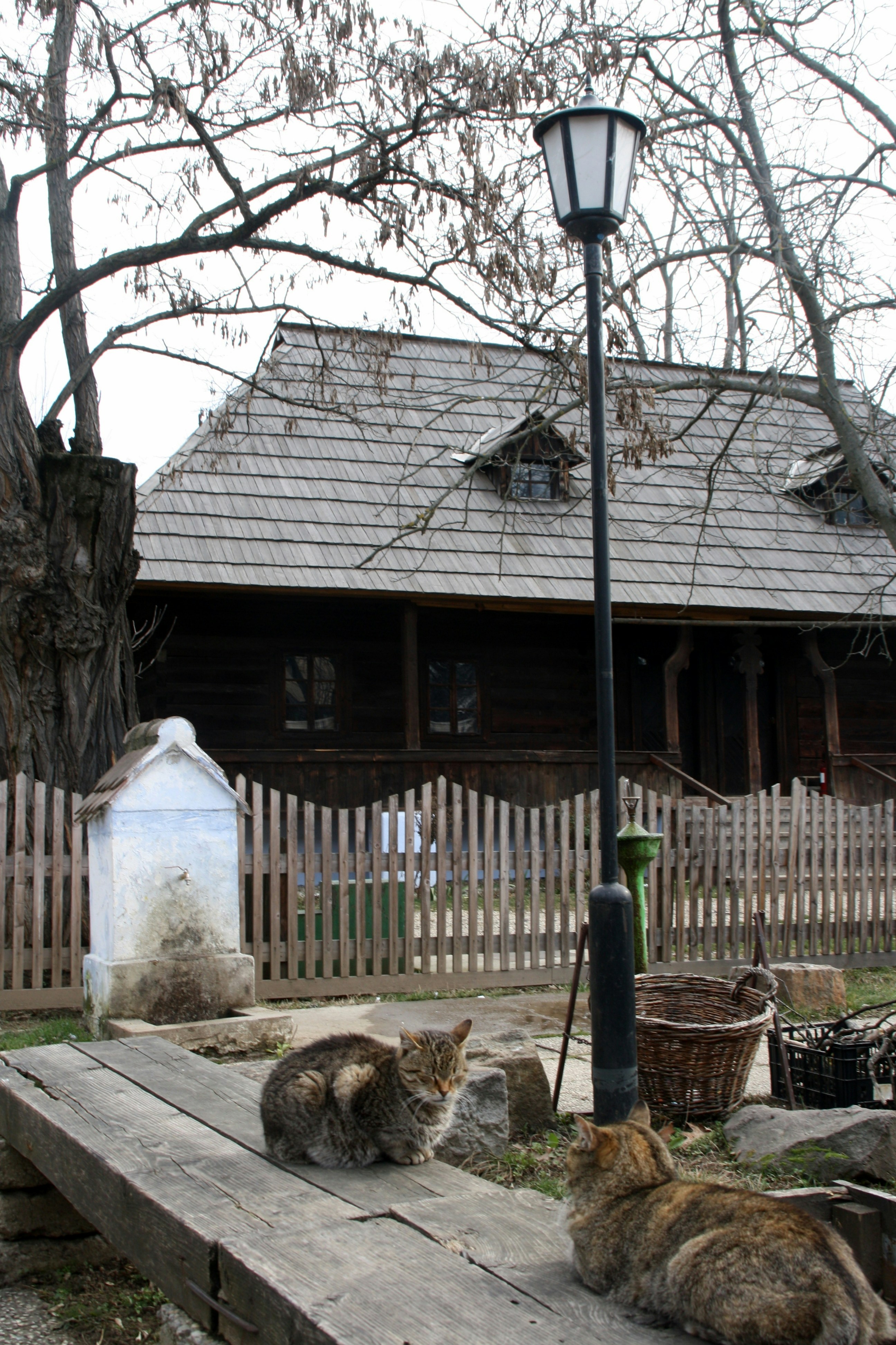 Dallas Heritage Village photo 3