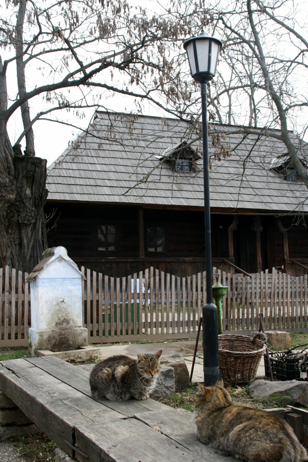 a couple of cats laying on top of a wooden bench