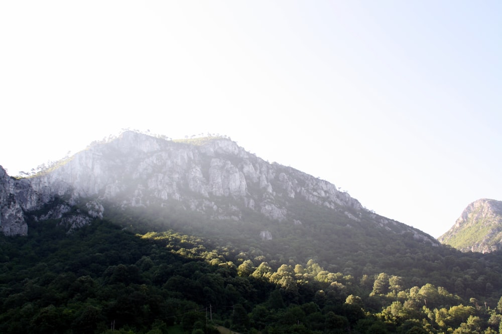 a mountain covered in trees under a blue sky