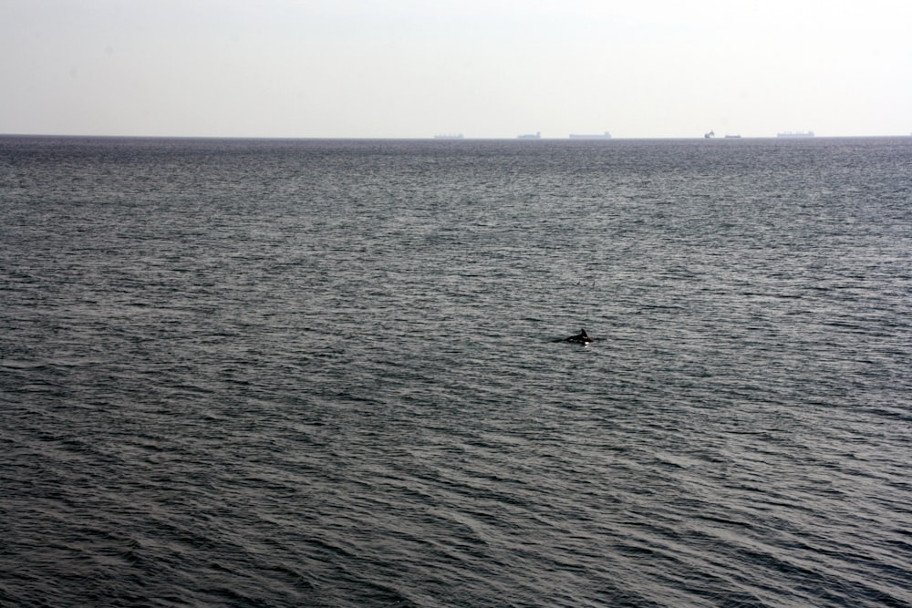 a lone boat floating in the middle of a large body of water