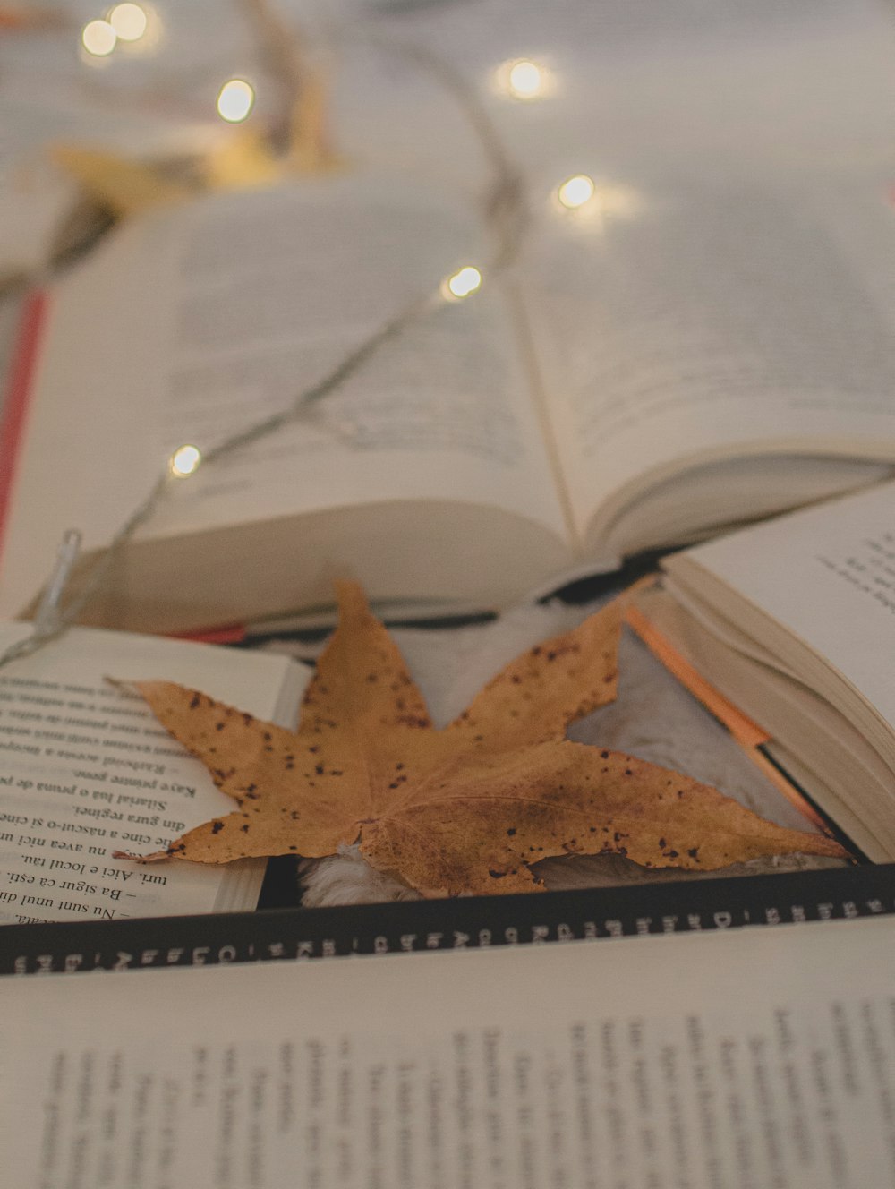 an open book with a leaf on top of it