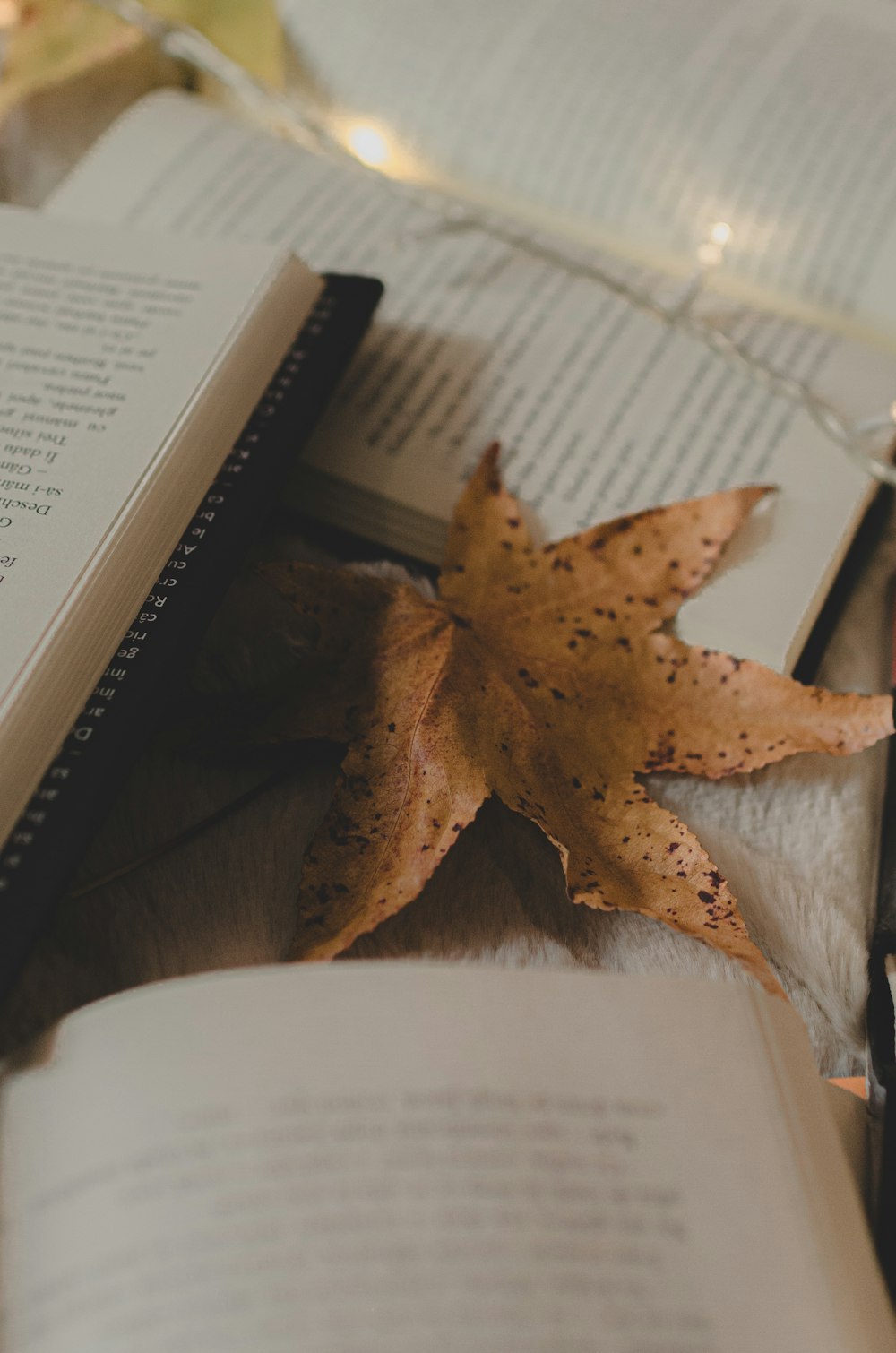 an open book with a leaf on top of it