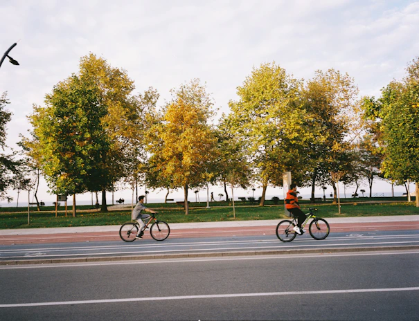 A friendly wave exchanged between two riders passing each other under a canopy of trees.