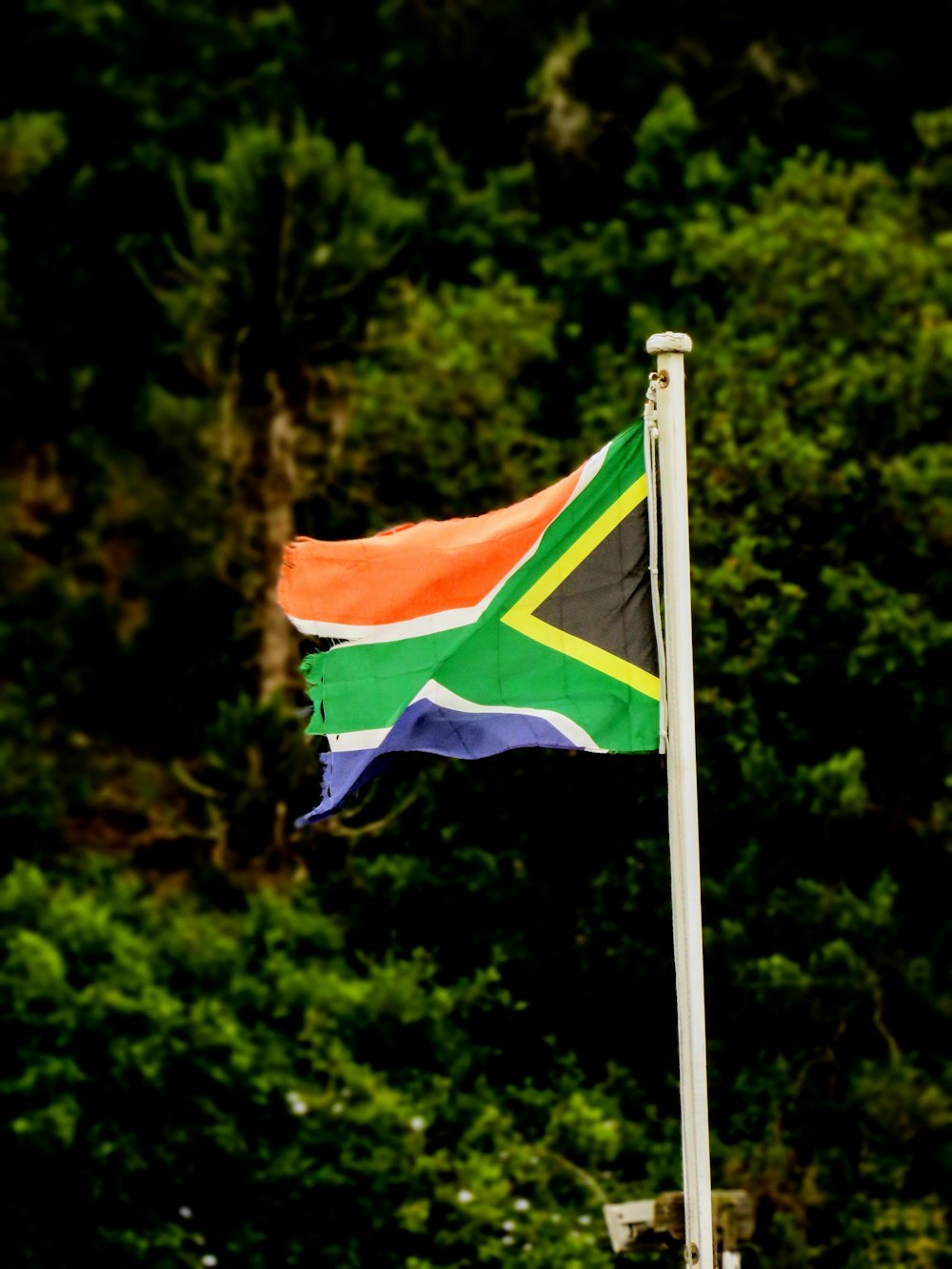 a flag flying in the wind with trees in the background