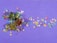 Multiple small, colorful star-shaped confetti pieces are scattered across a purple background. Three small gift boxes, decorated with green, red, and gold reflective surfaces and tied with gold string, are placed among the stars.