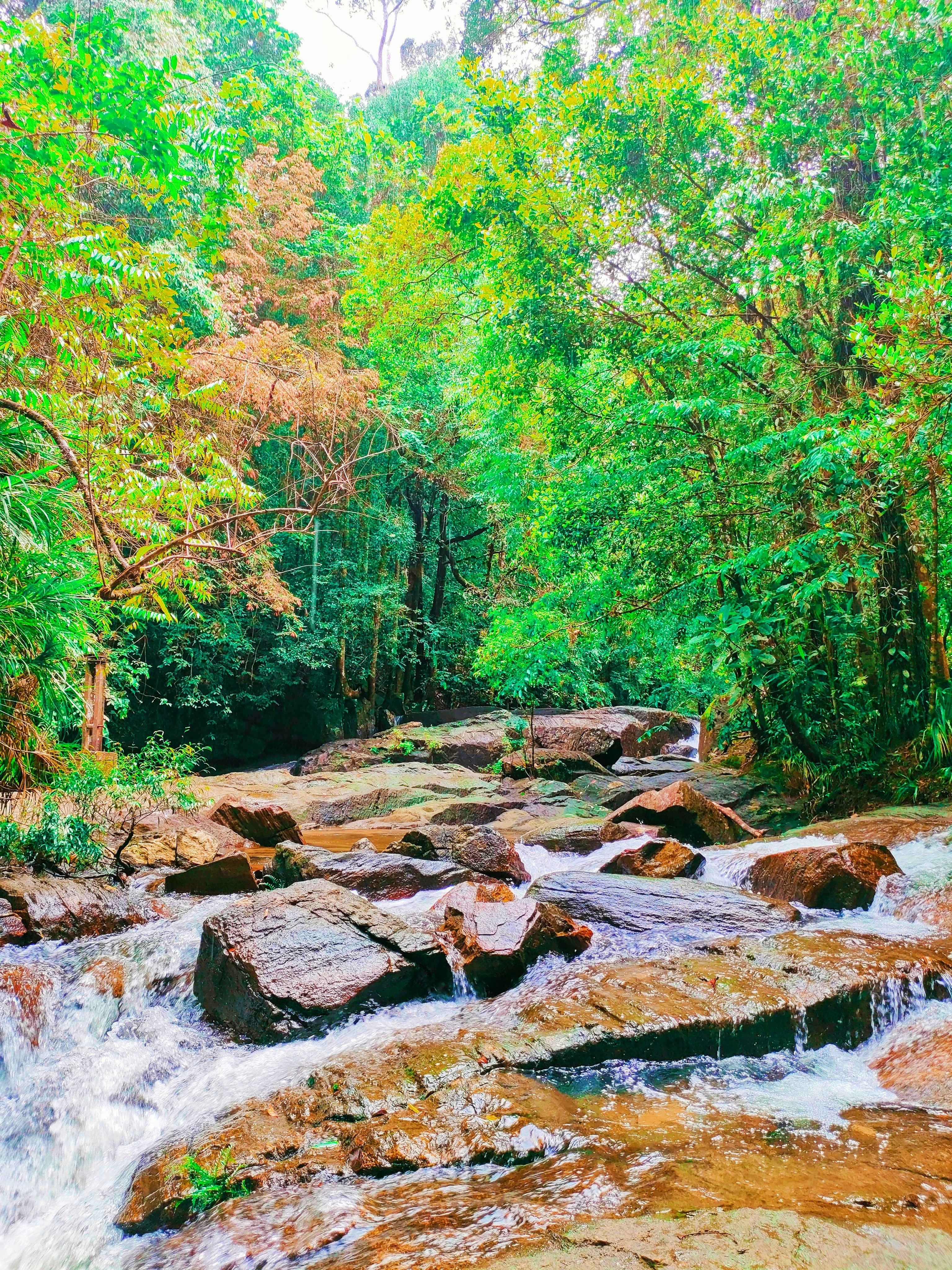 Photo by damith_shanelka