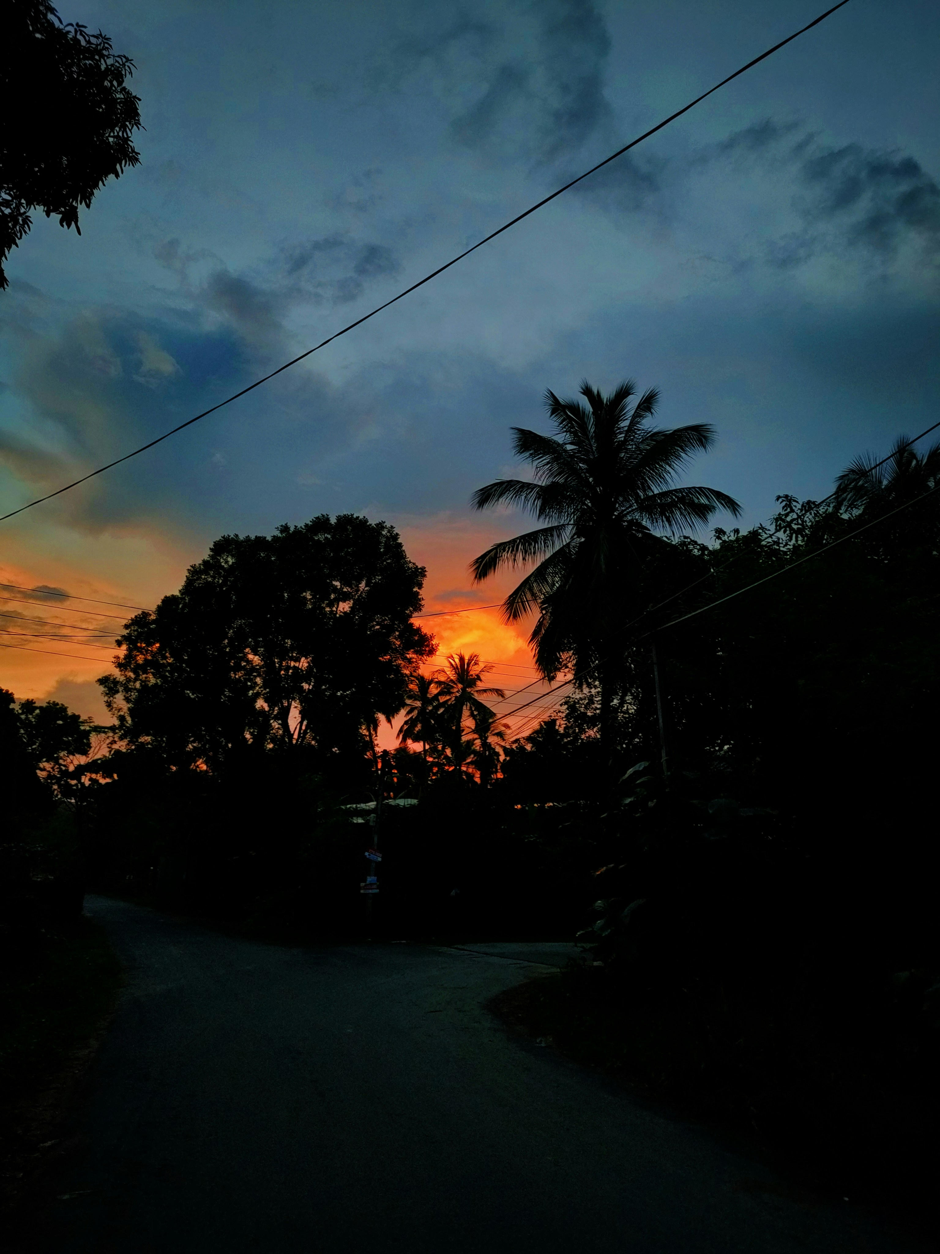 the sun is setting on a tropical road