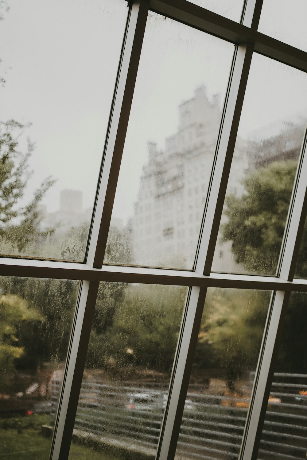 a view of a park through a window