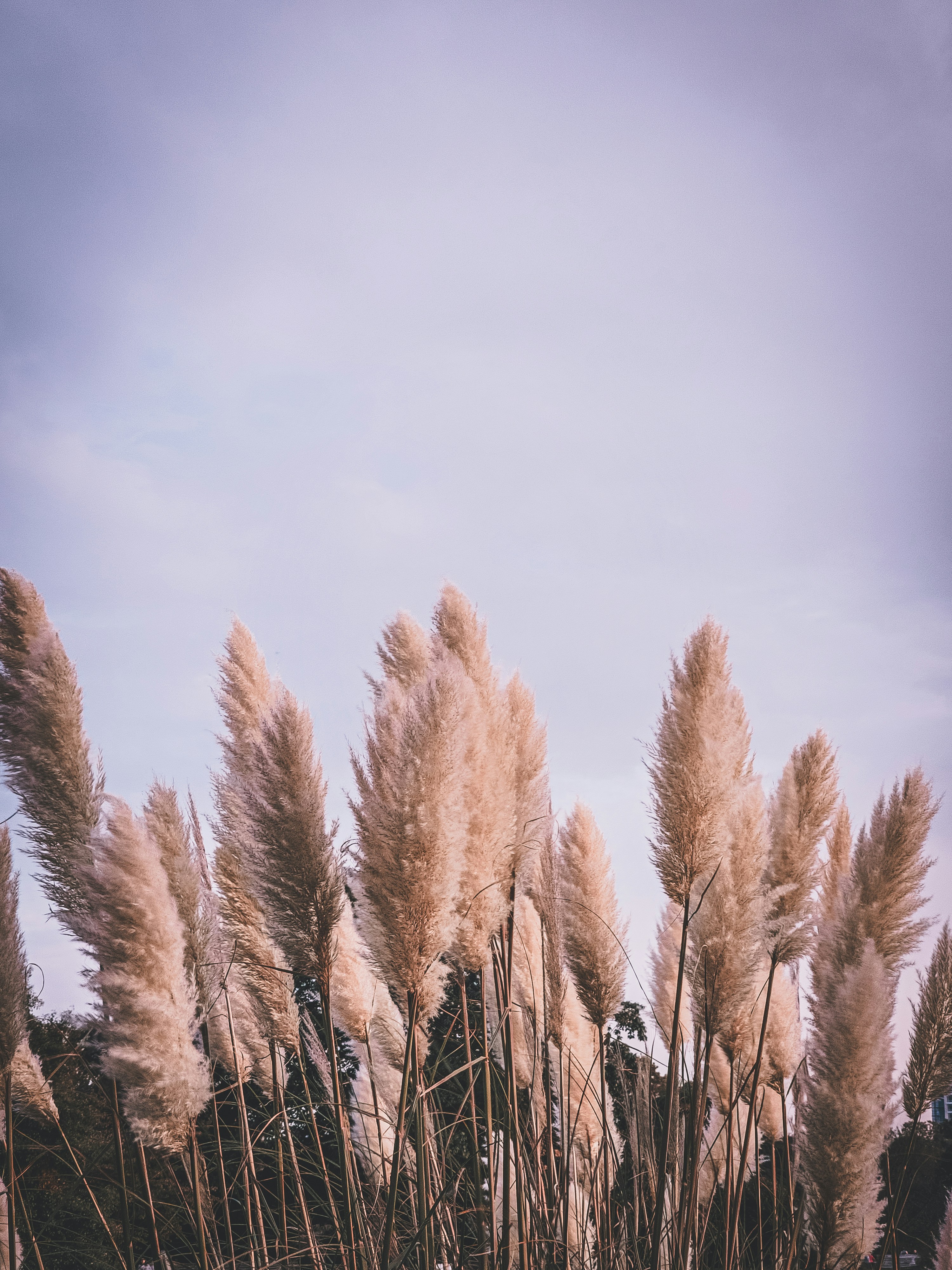 Photo by _priyank007_