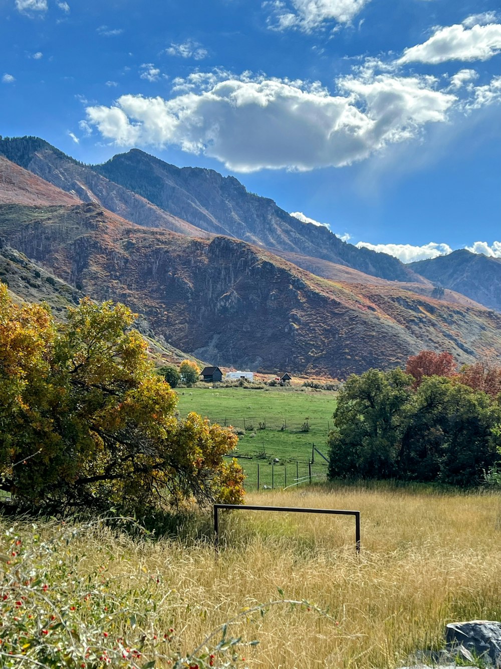 a field with a fence and mountains in the background