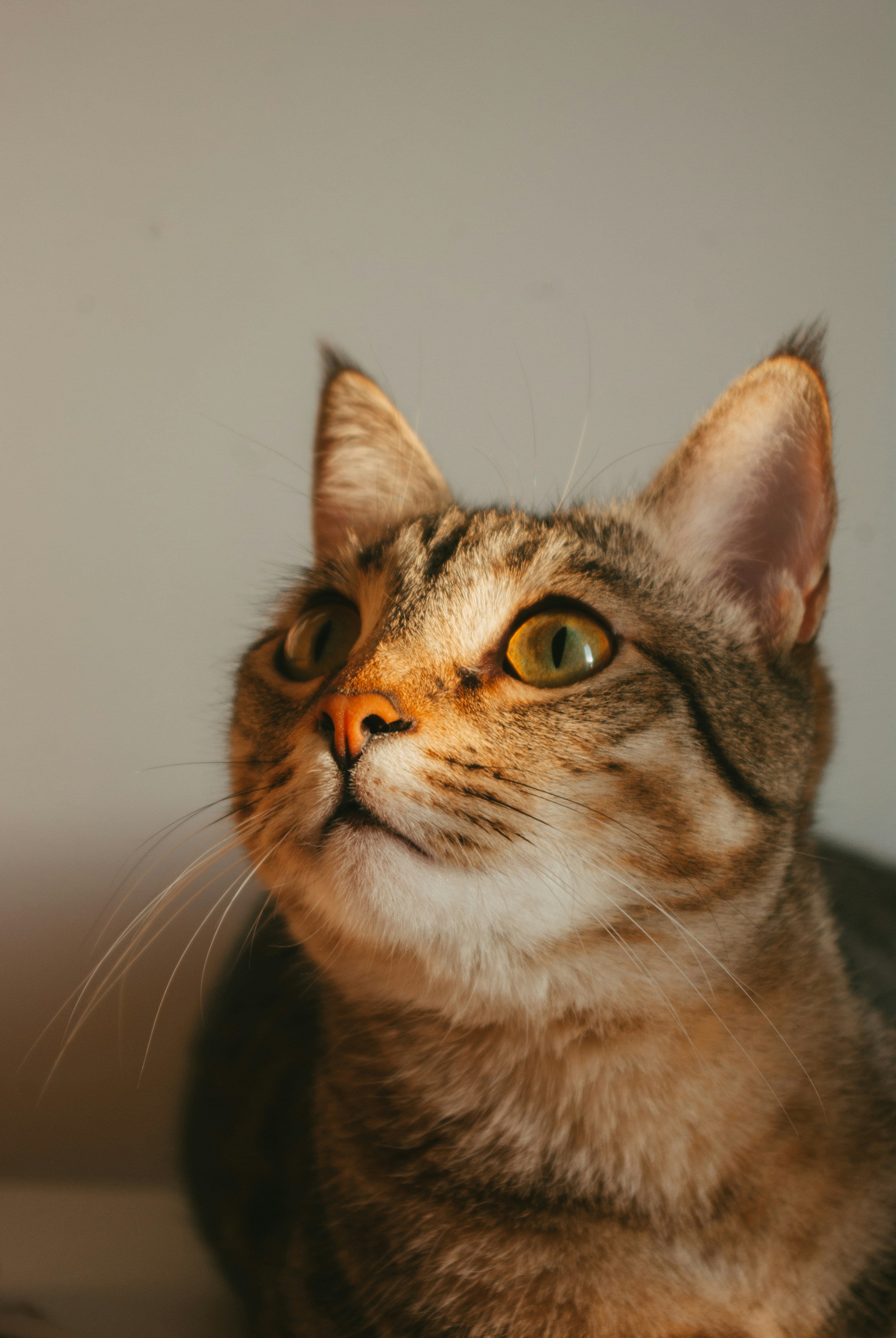 Photo by moonmoons_days