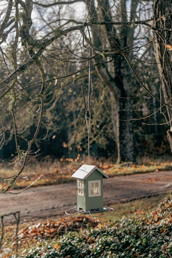 A rustic wooden bird feeder shaped like a small house hanging from a tree branch.