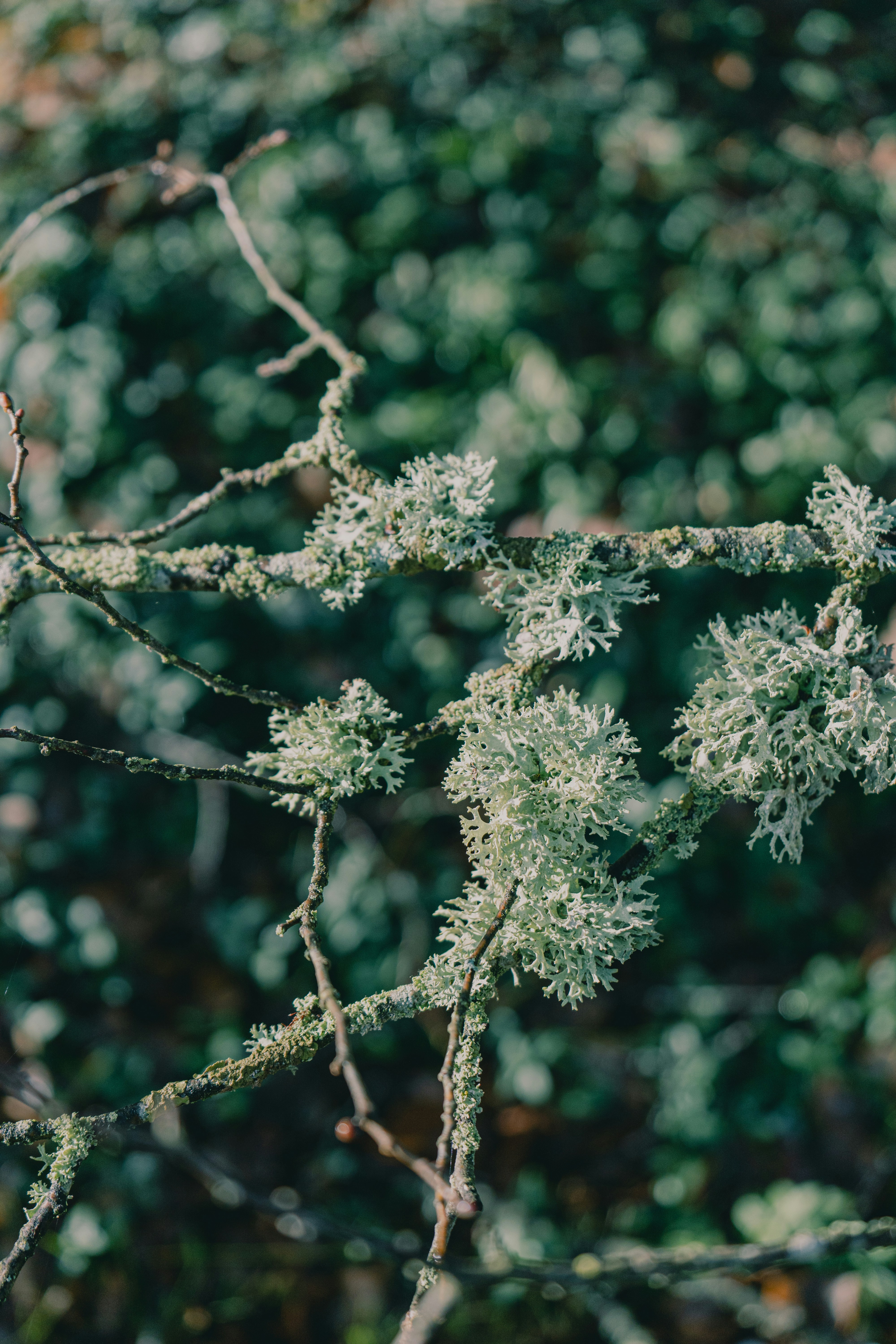 Photo by karthickgislen