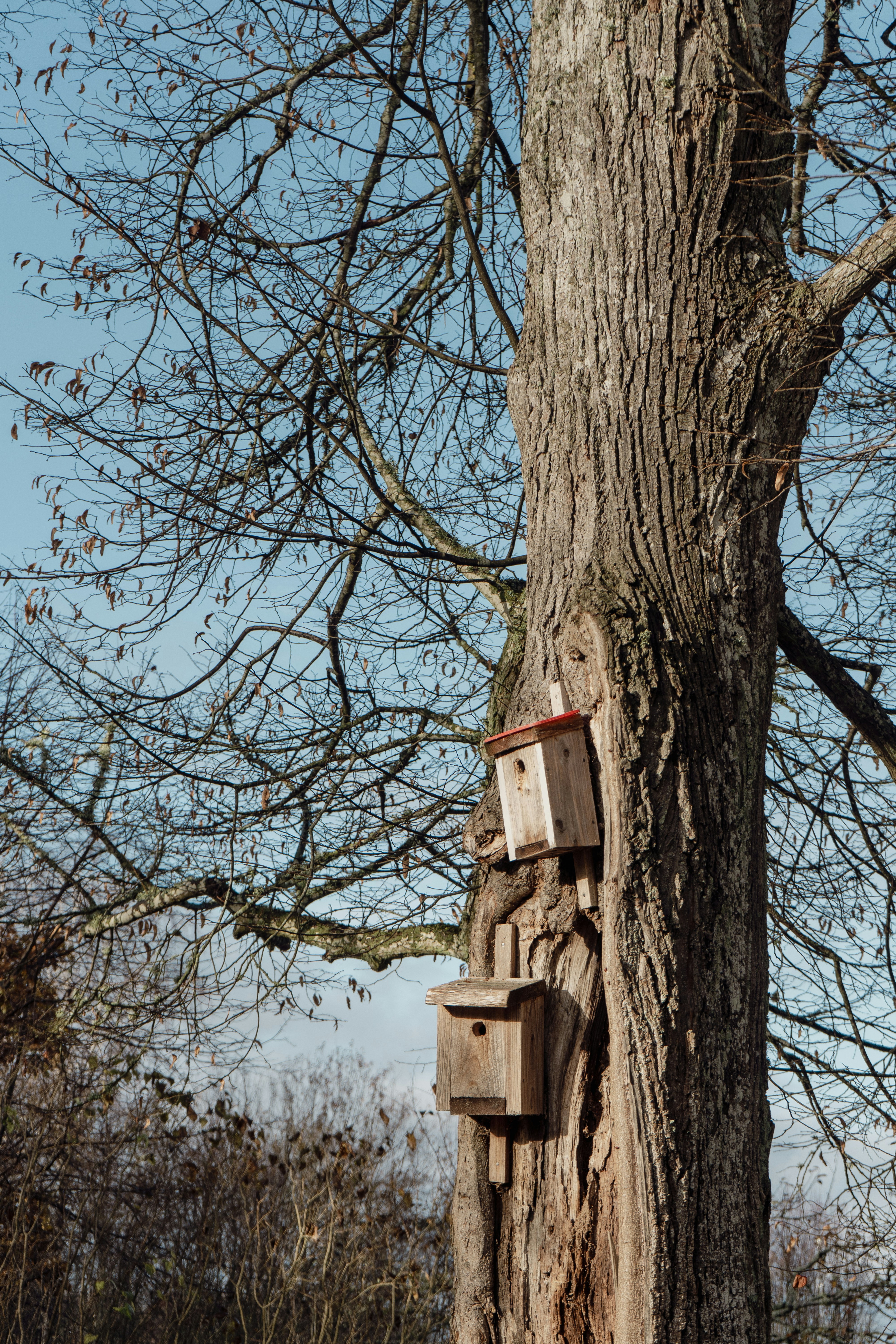 Photo by karthickgislen