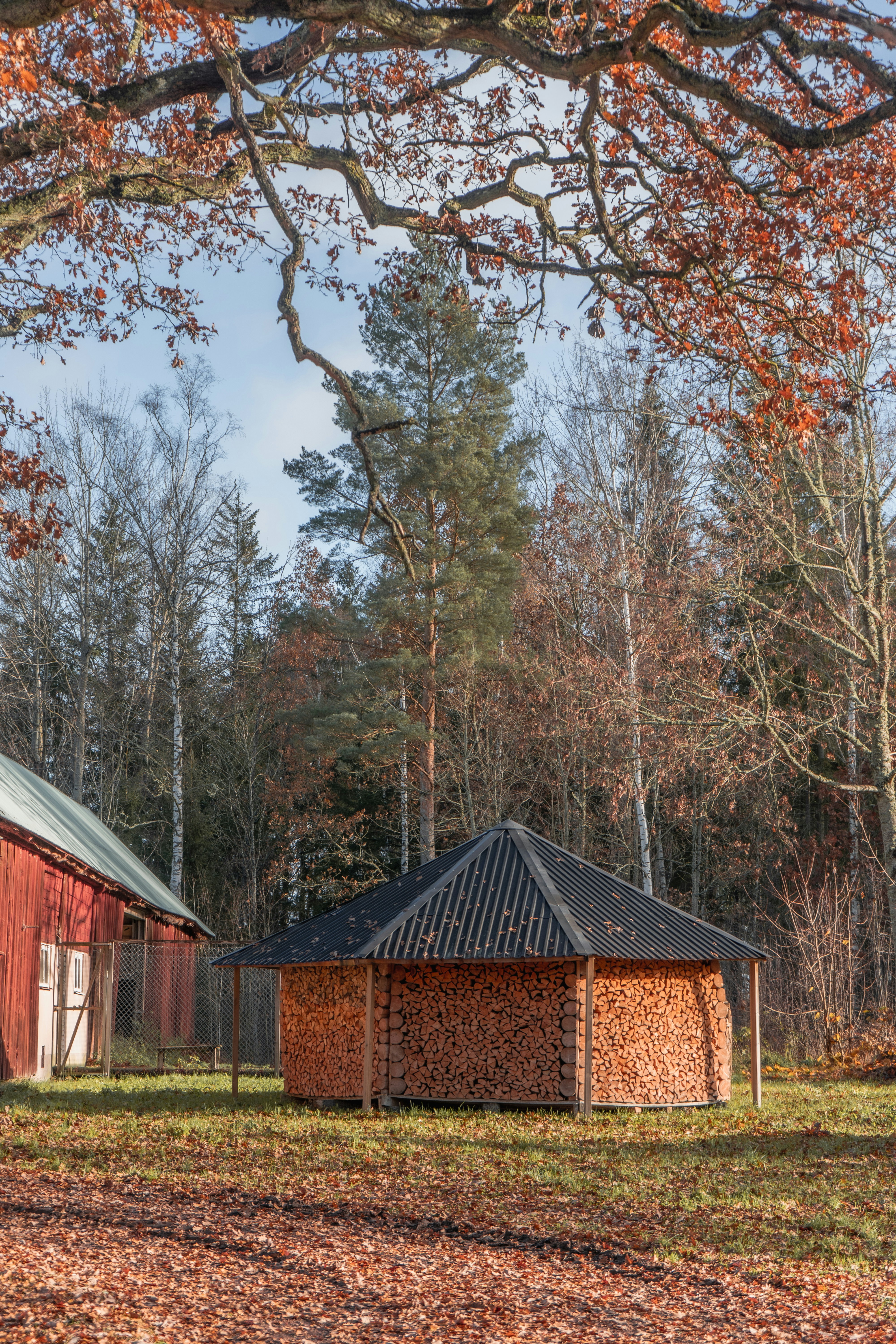 Photo by karthickgislen