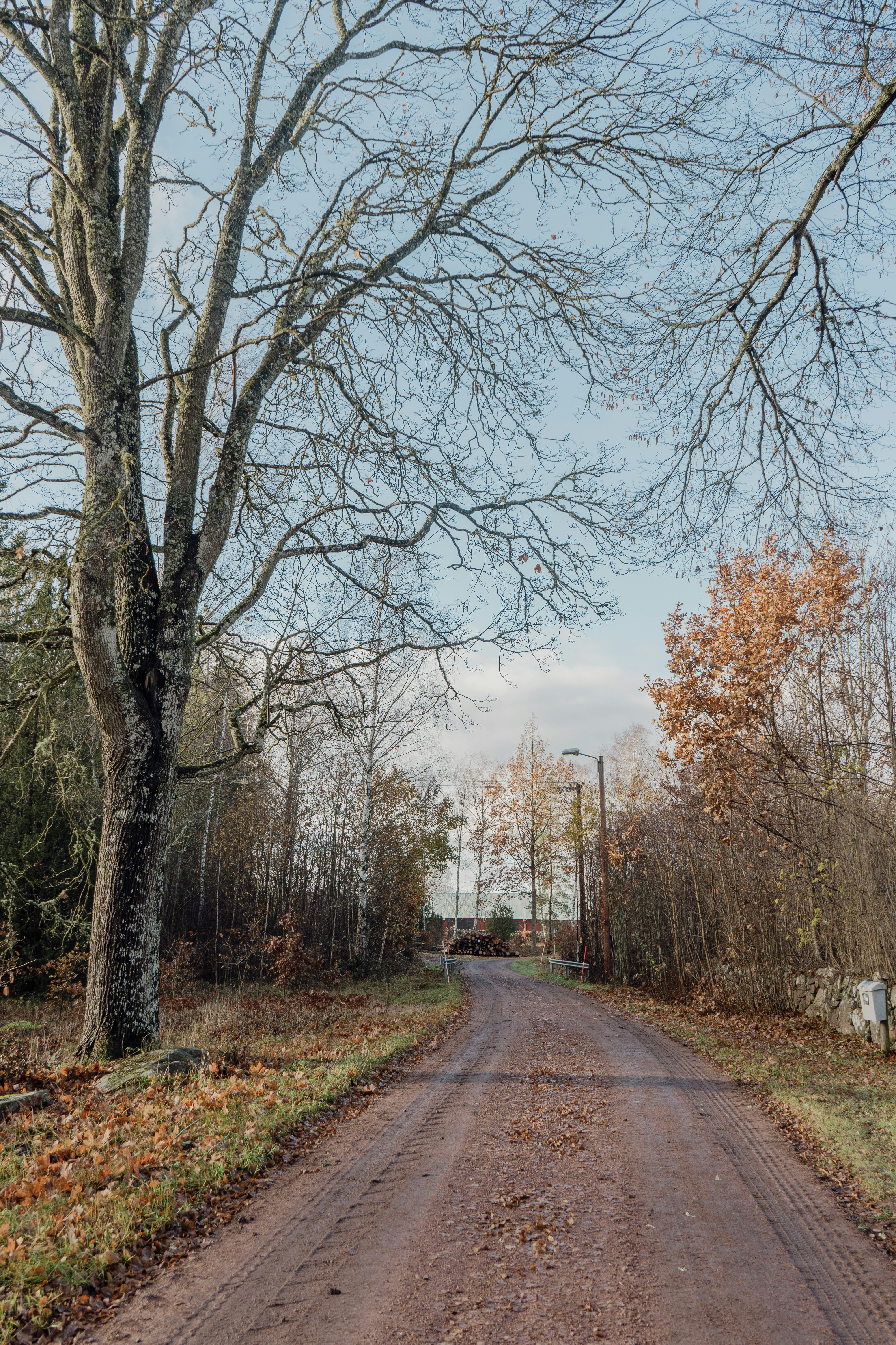 Photo by karthickgislen