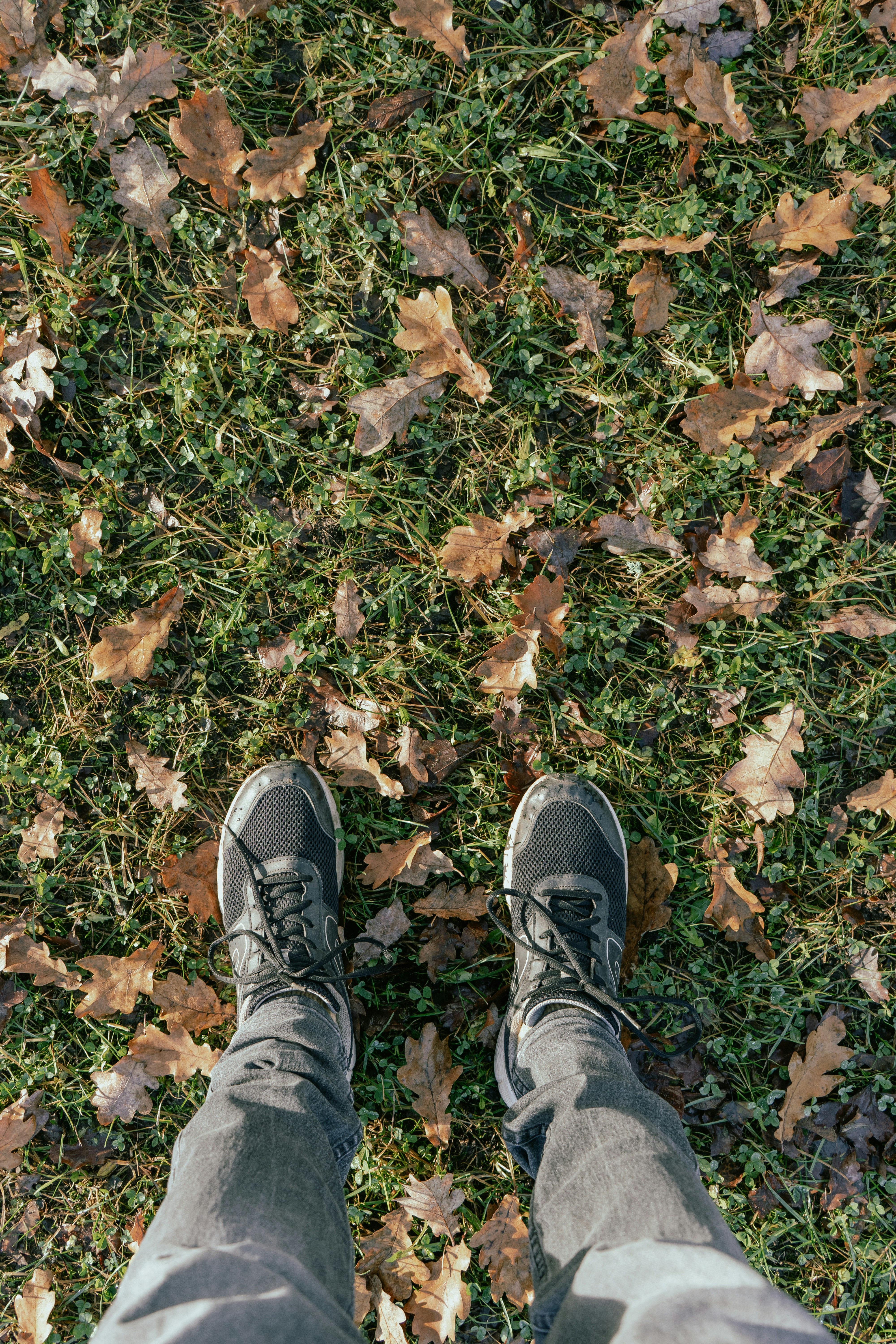 Photo by karthickgislen