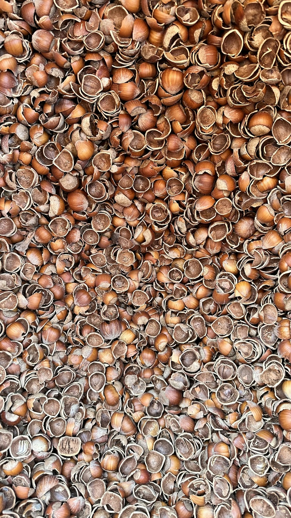 a bunch of nuts are stacked on top of each other