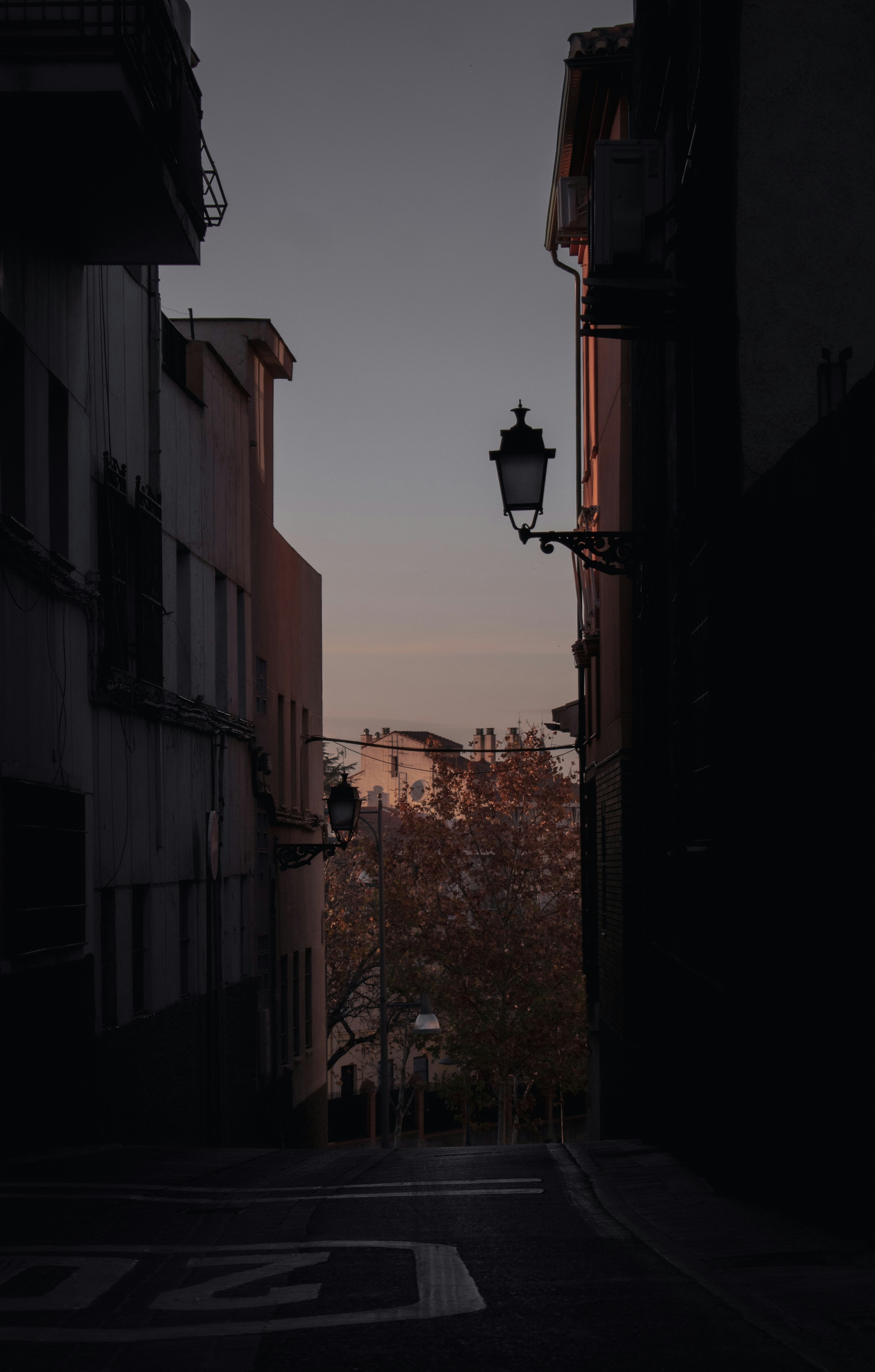 Photo by sebaslaverde_nkn