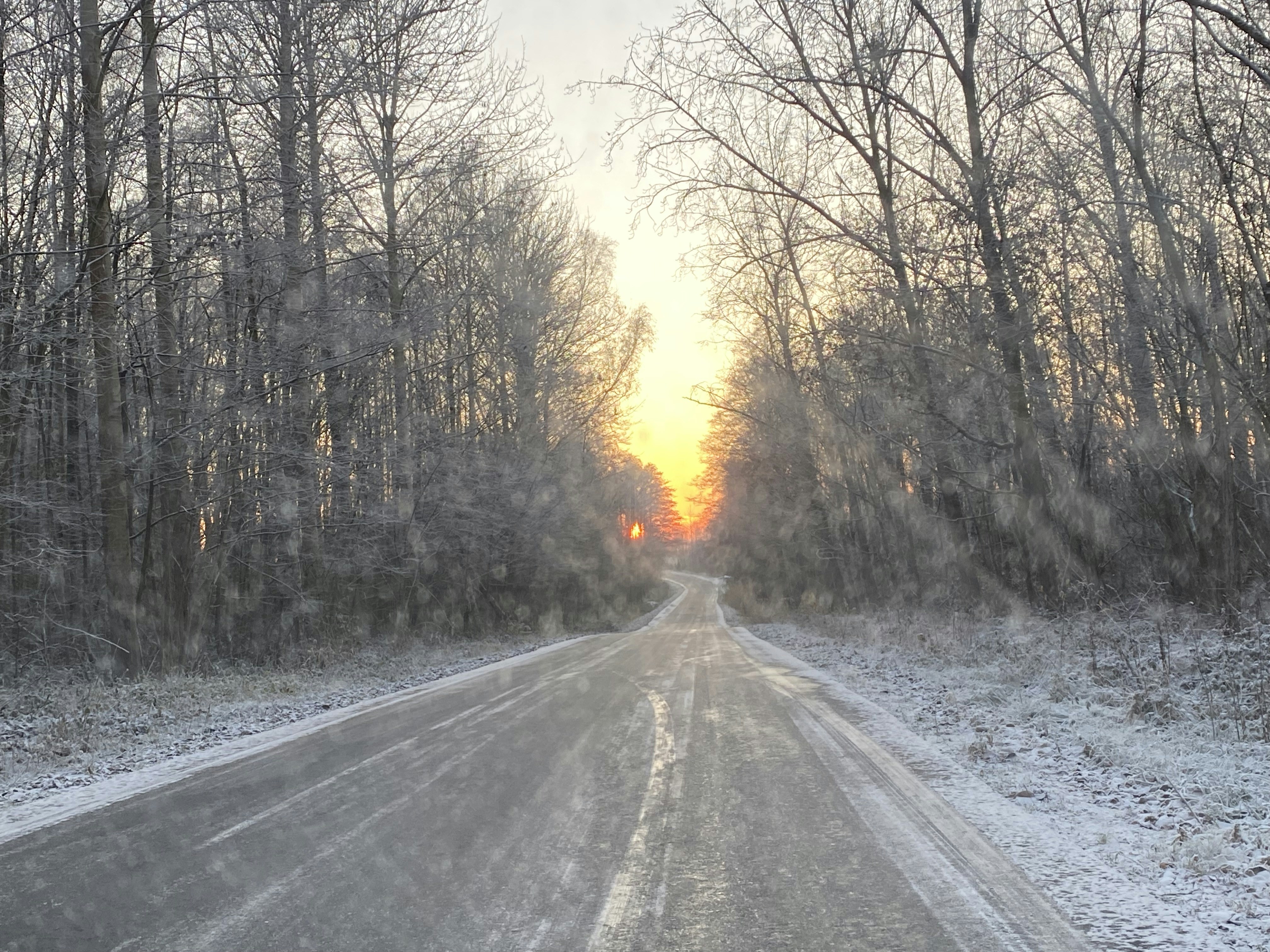 Photo by ffrtteeqaa