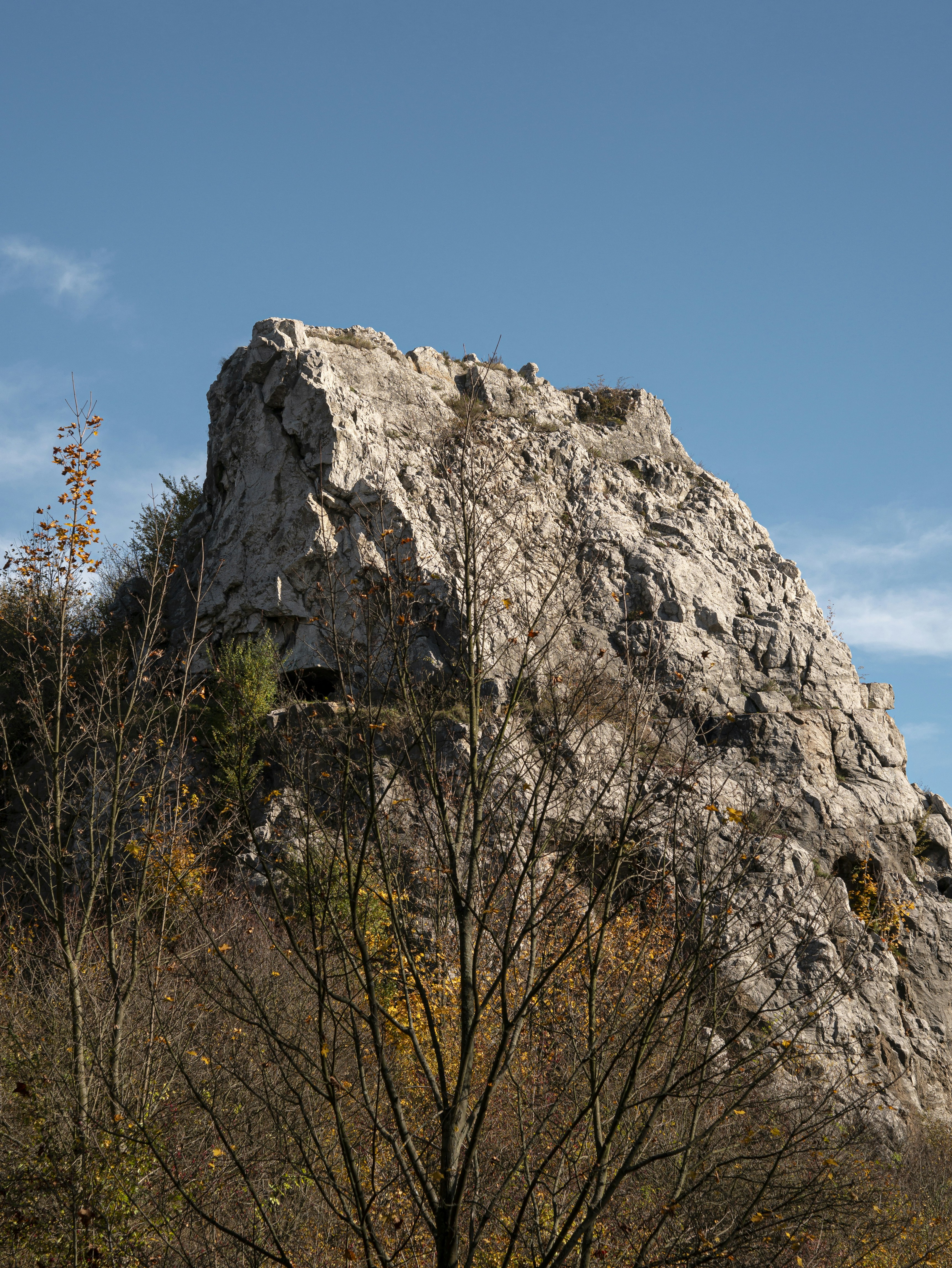 a rocky outcropping with trees in the foreground