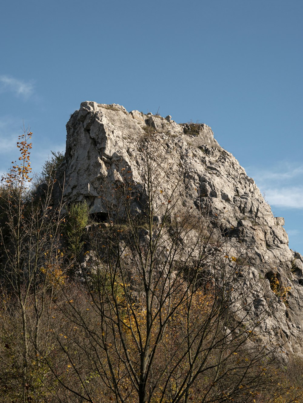 a rocky outcropping with trees in the foreground