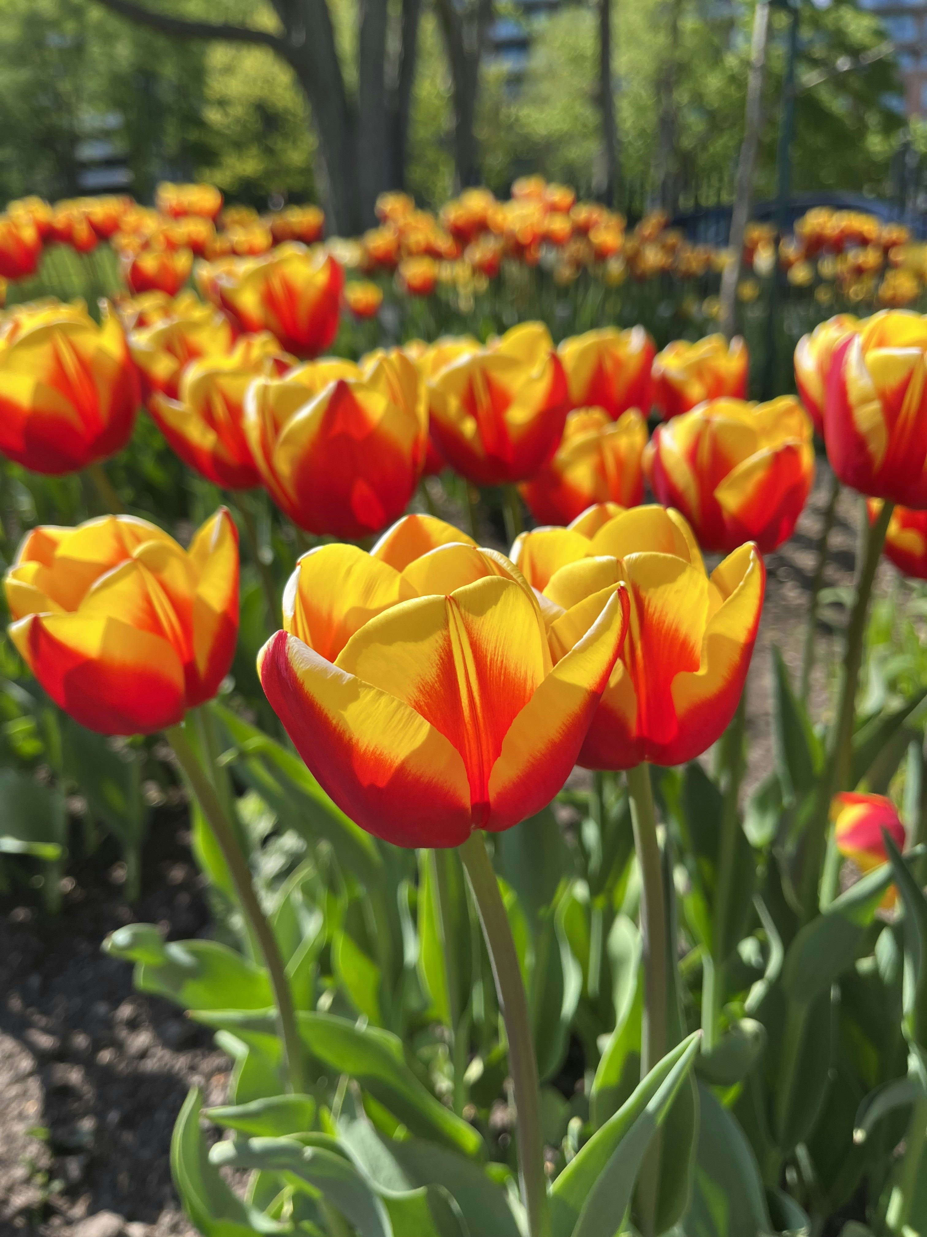 Photo by borntobewild