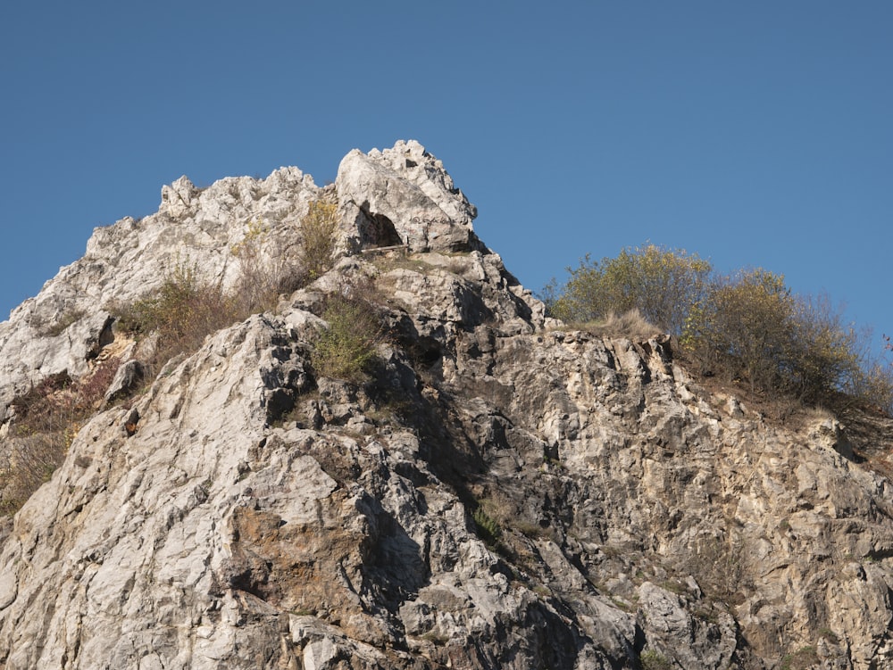 une montagne rocheuse avec un petit arbre qui pousse