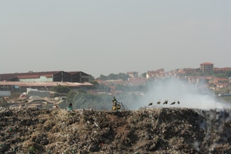 A large pile of waste with visible smoke rising, set against a backdrop of urban buildings. A person is seen on or near a bicycle on the pile, and several birds are perched on the rubbish.
