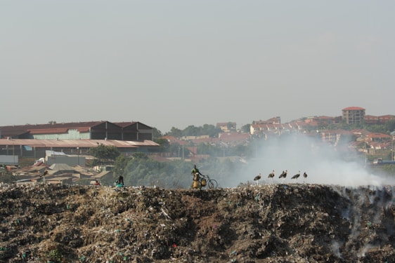A large pile of waste with visible smoke rising, set against a backdrop of urban buildings. A person is seen on or near a bicycle on the pile, and several birds are perched on the rubbish.
