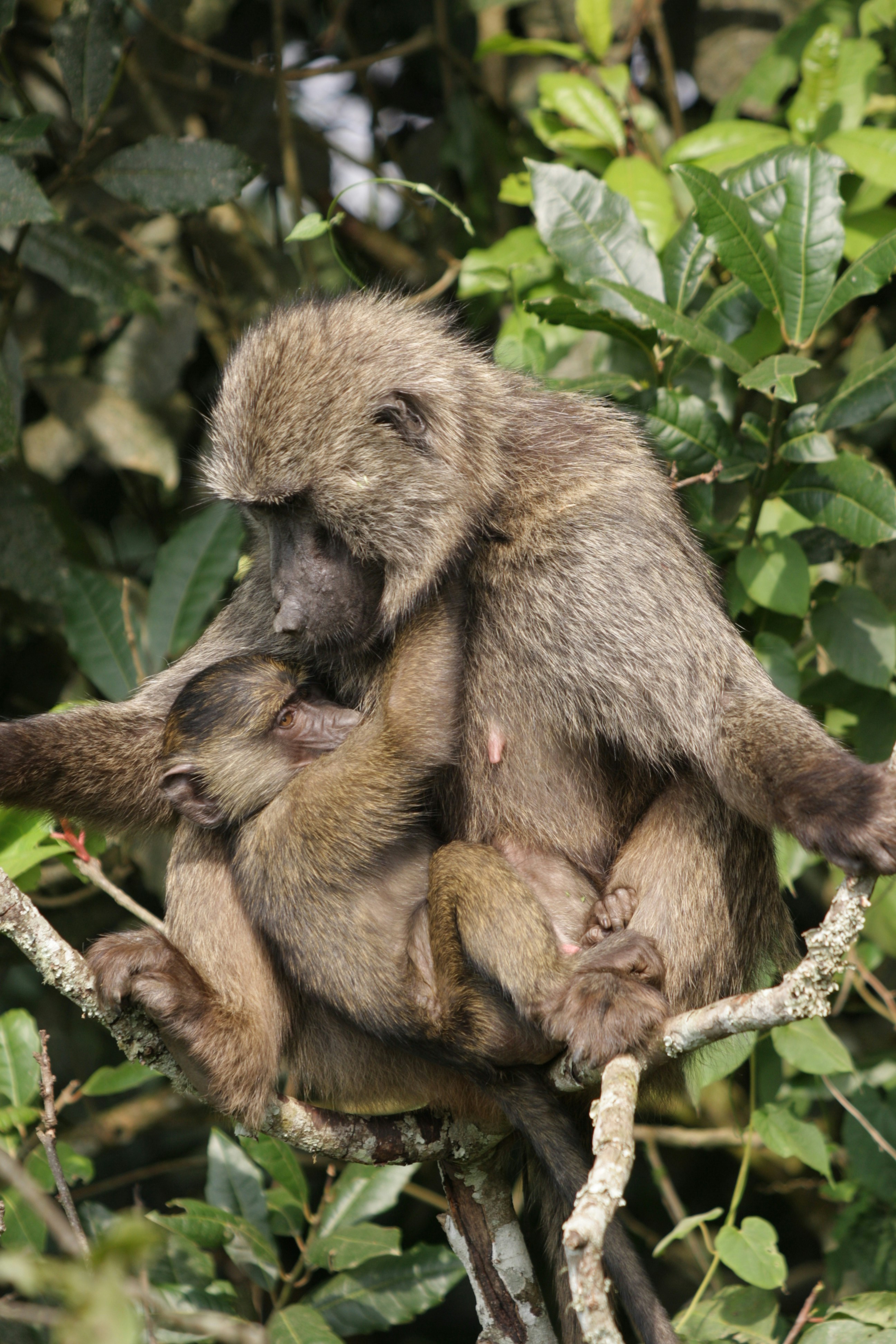 Photo by edenculture