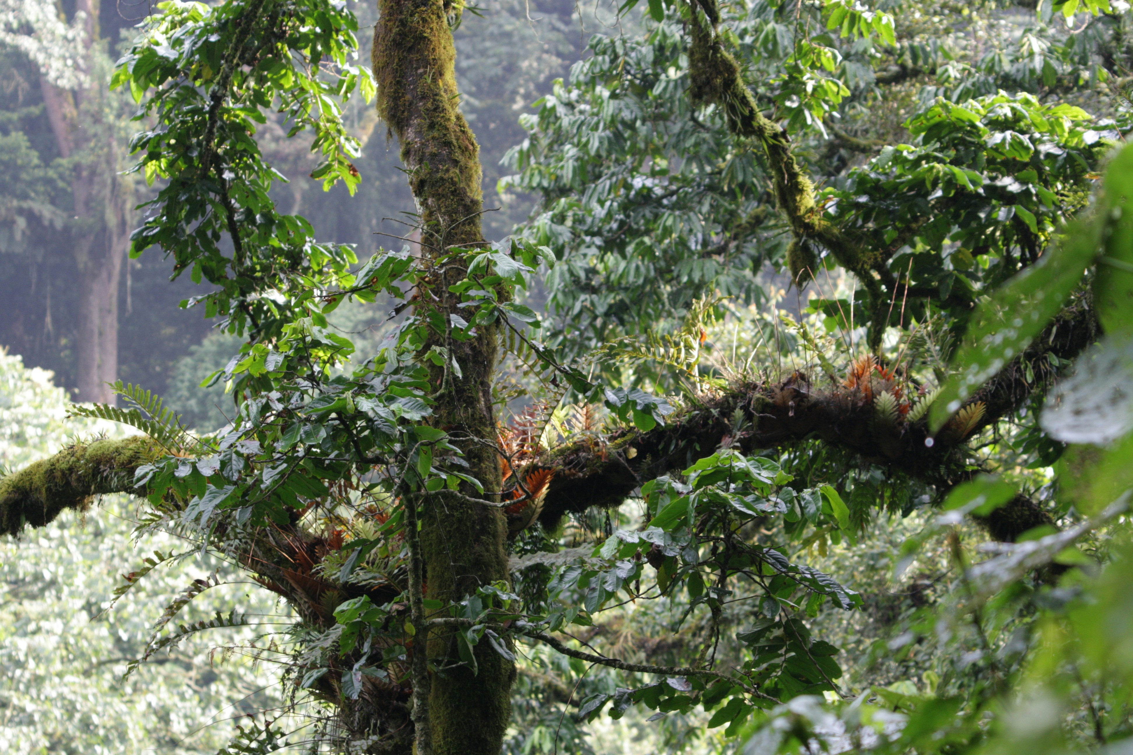 Photo by edenculture