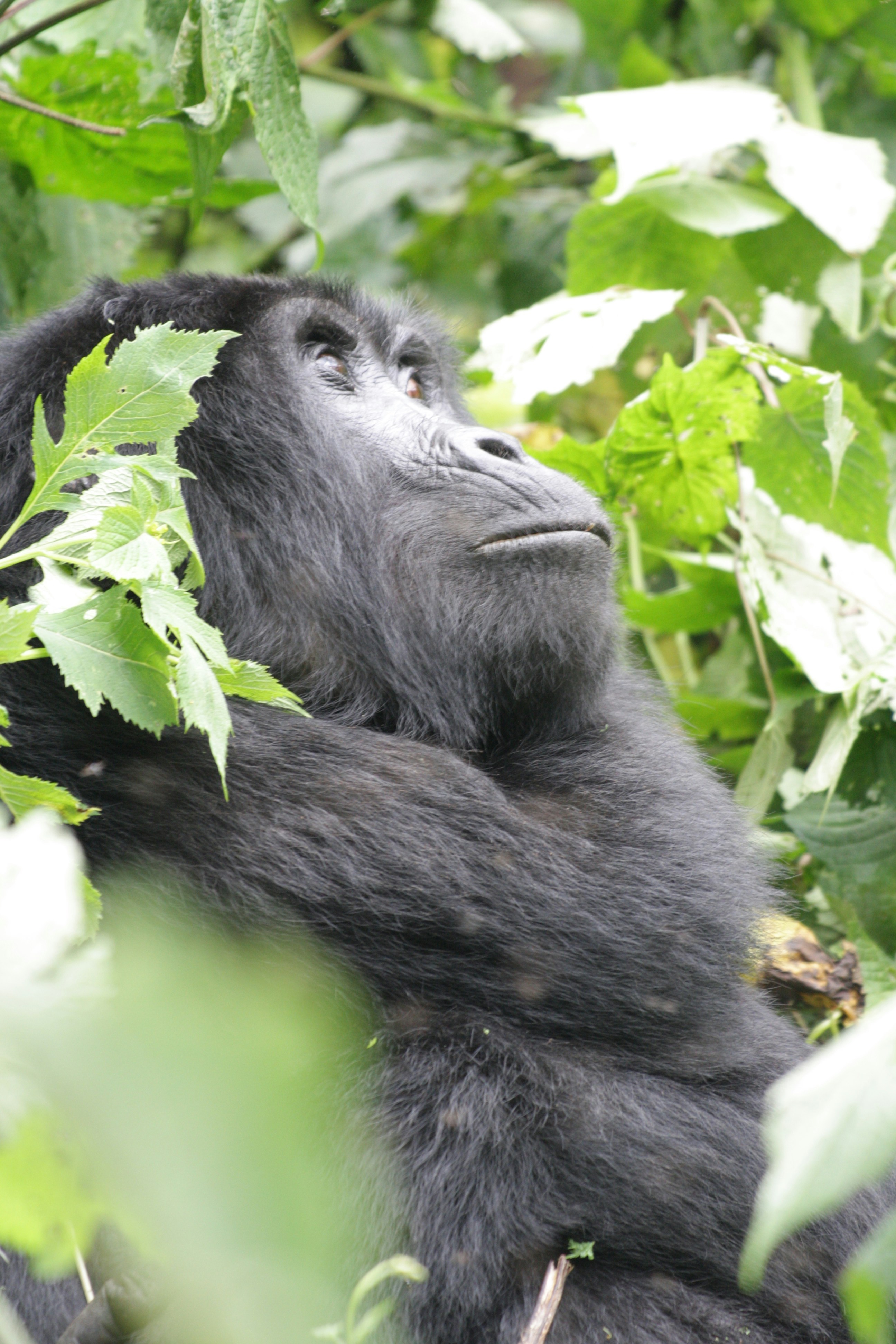 Photo by edenculture