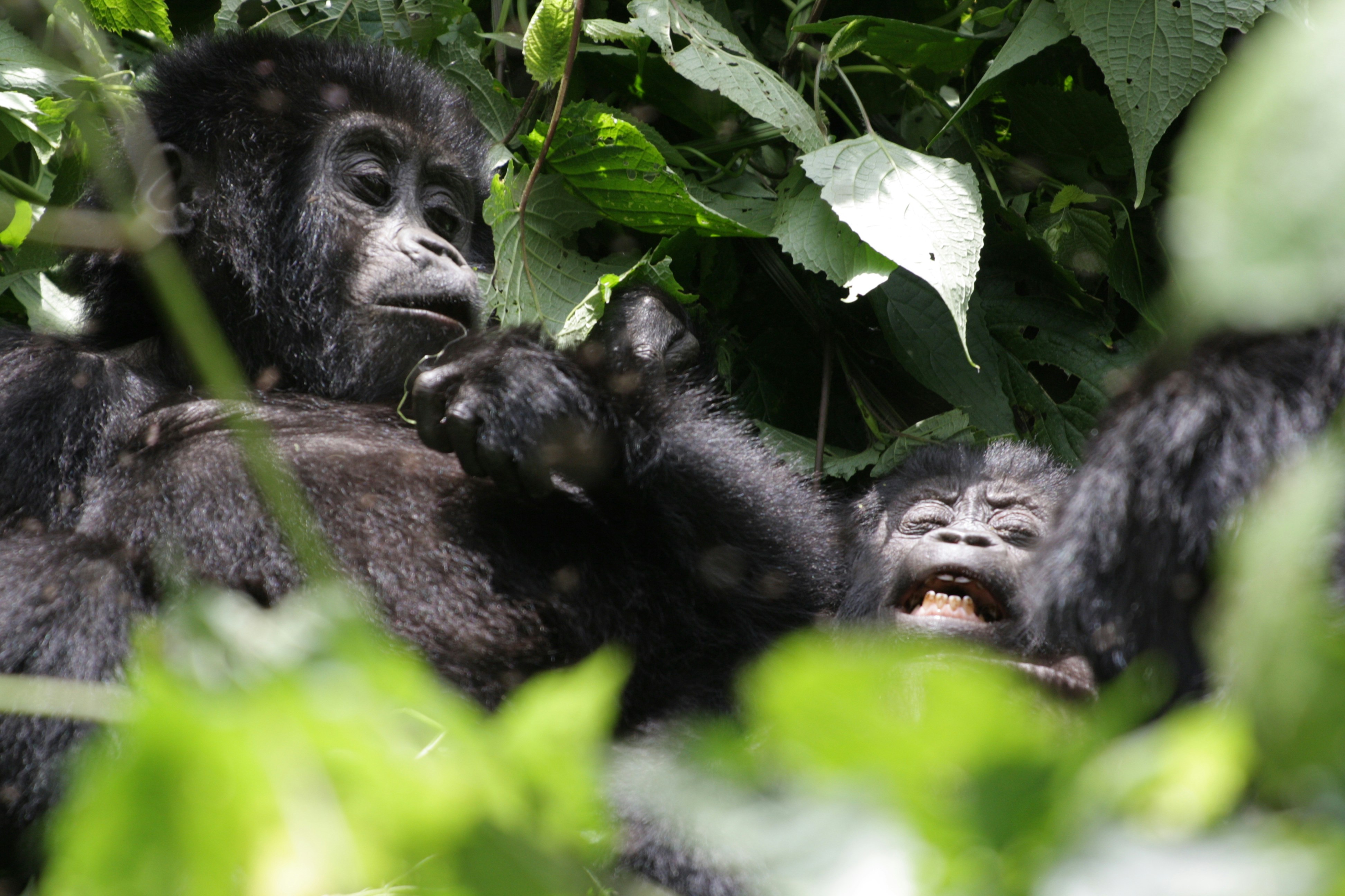 Photo by edenculture