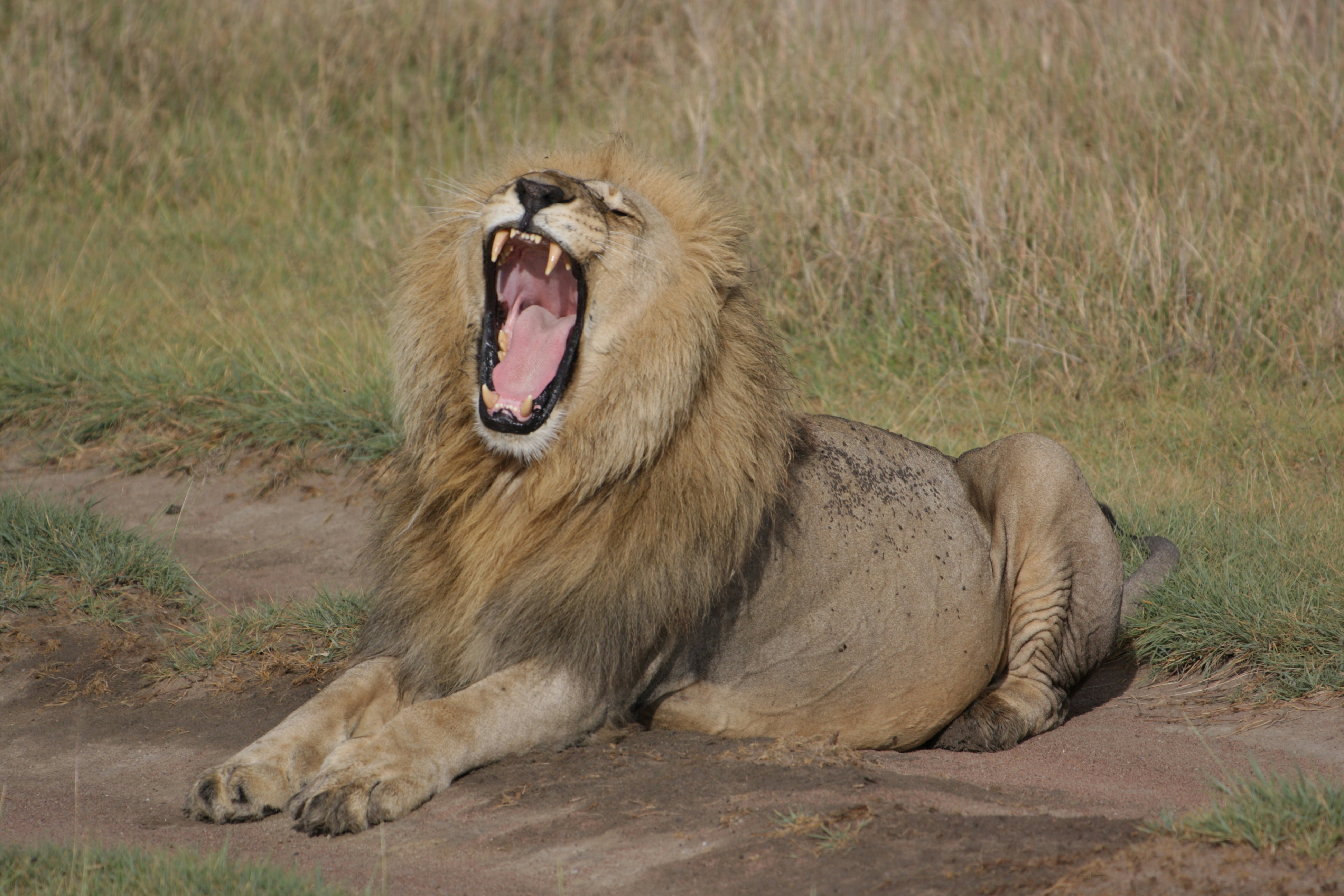 Photo by edenculture