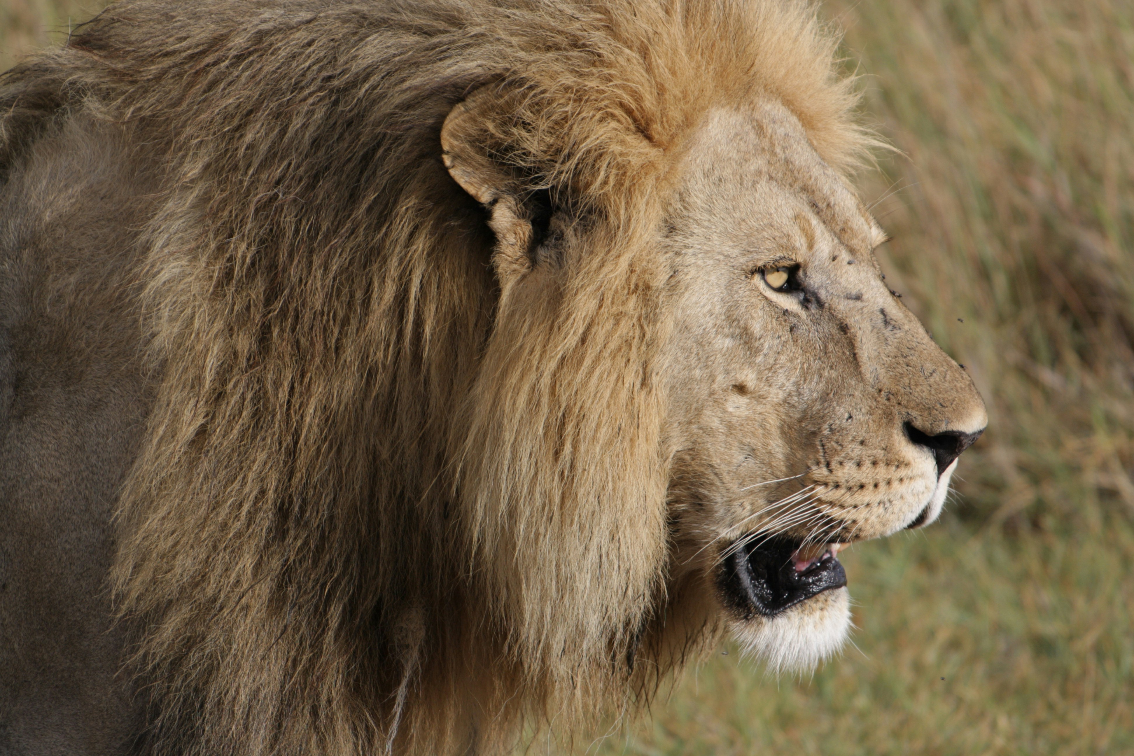 Photo by edenculture