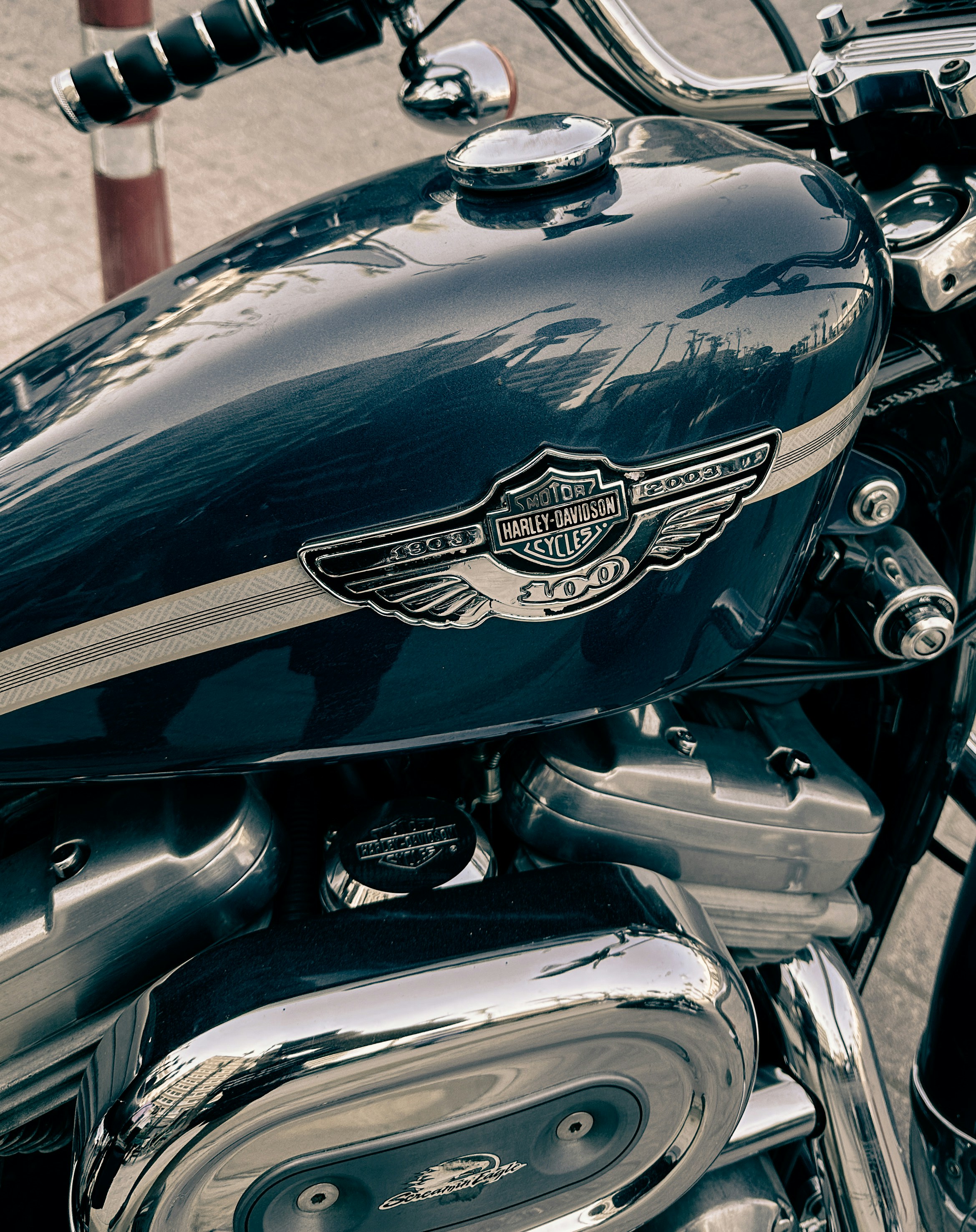 Photo by altanosmanli